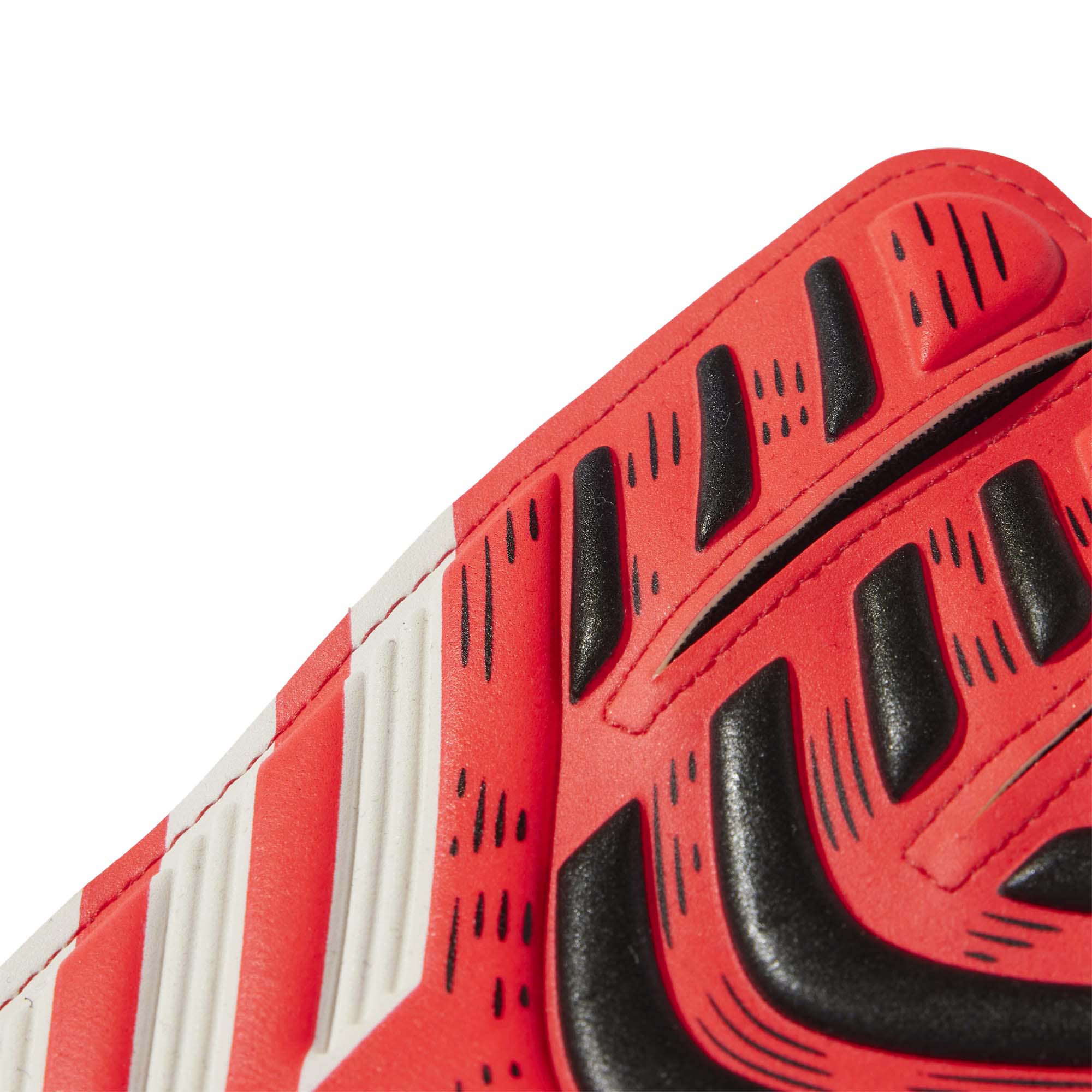 PRED_GL_MTC_FSJ_JH3809_PURRUBL_Image_5