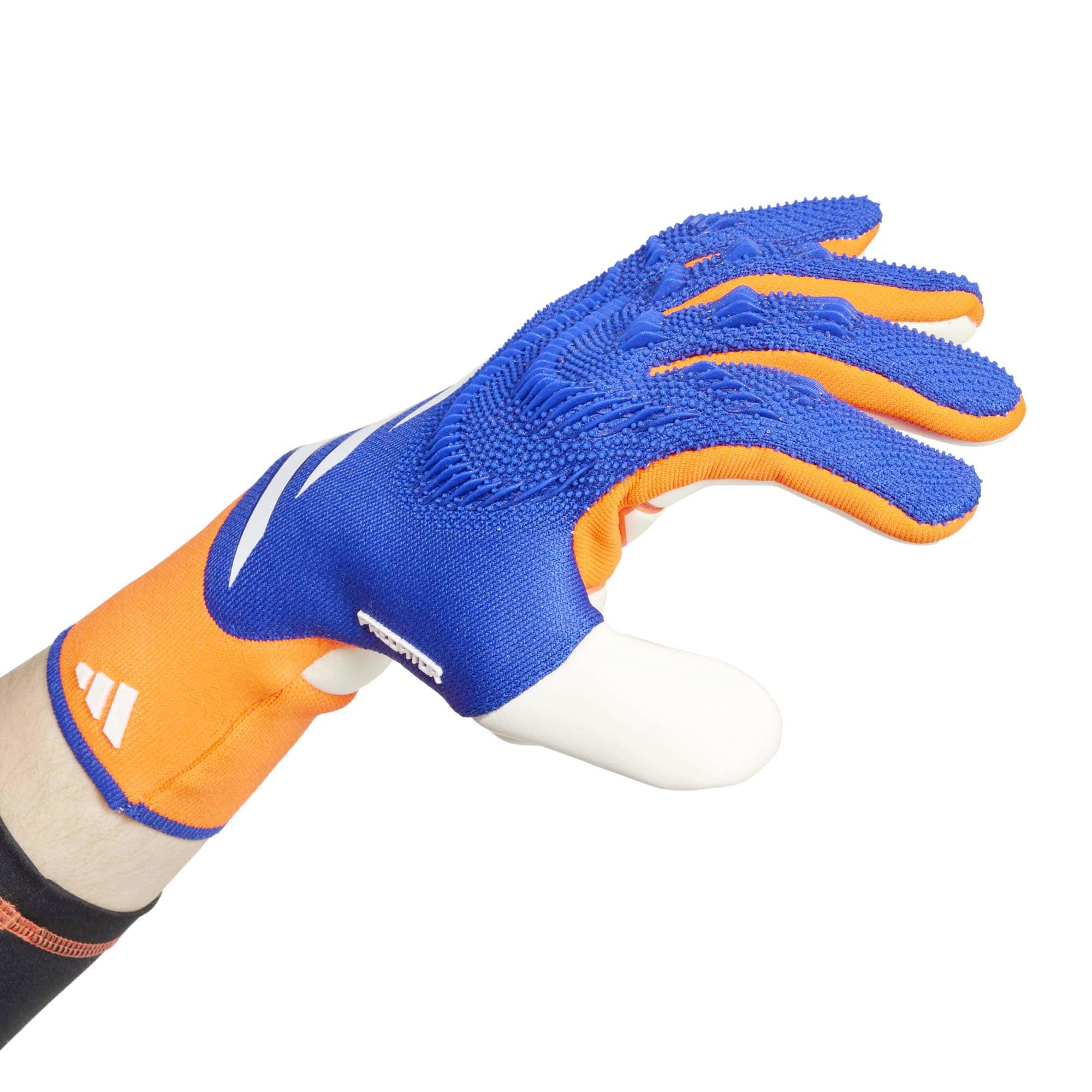 PRED_GL_PRO_IS7587_LUCBLUS_Image_3