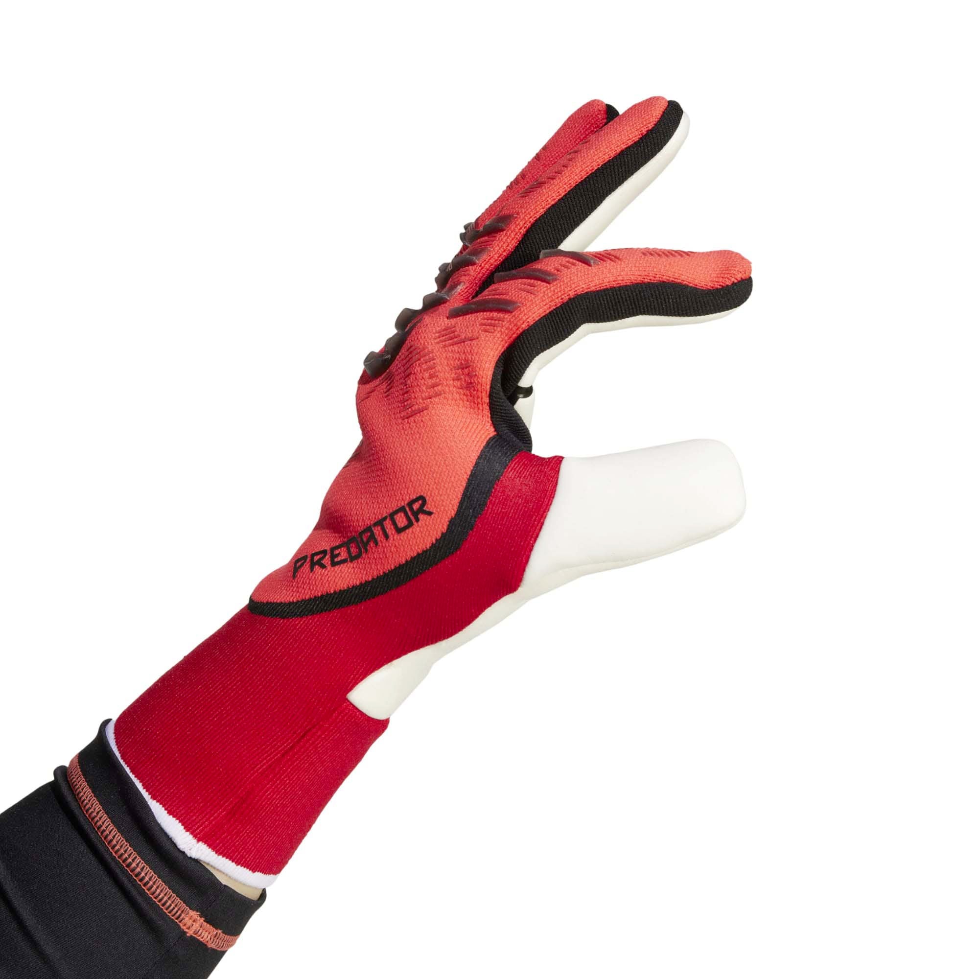 PRED_GL_PRO_IW6276_LUCREDB_Image_4