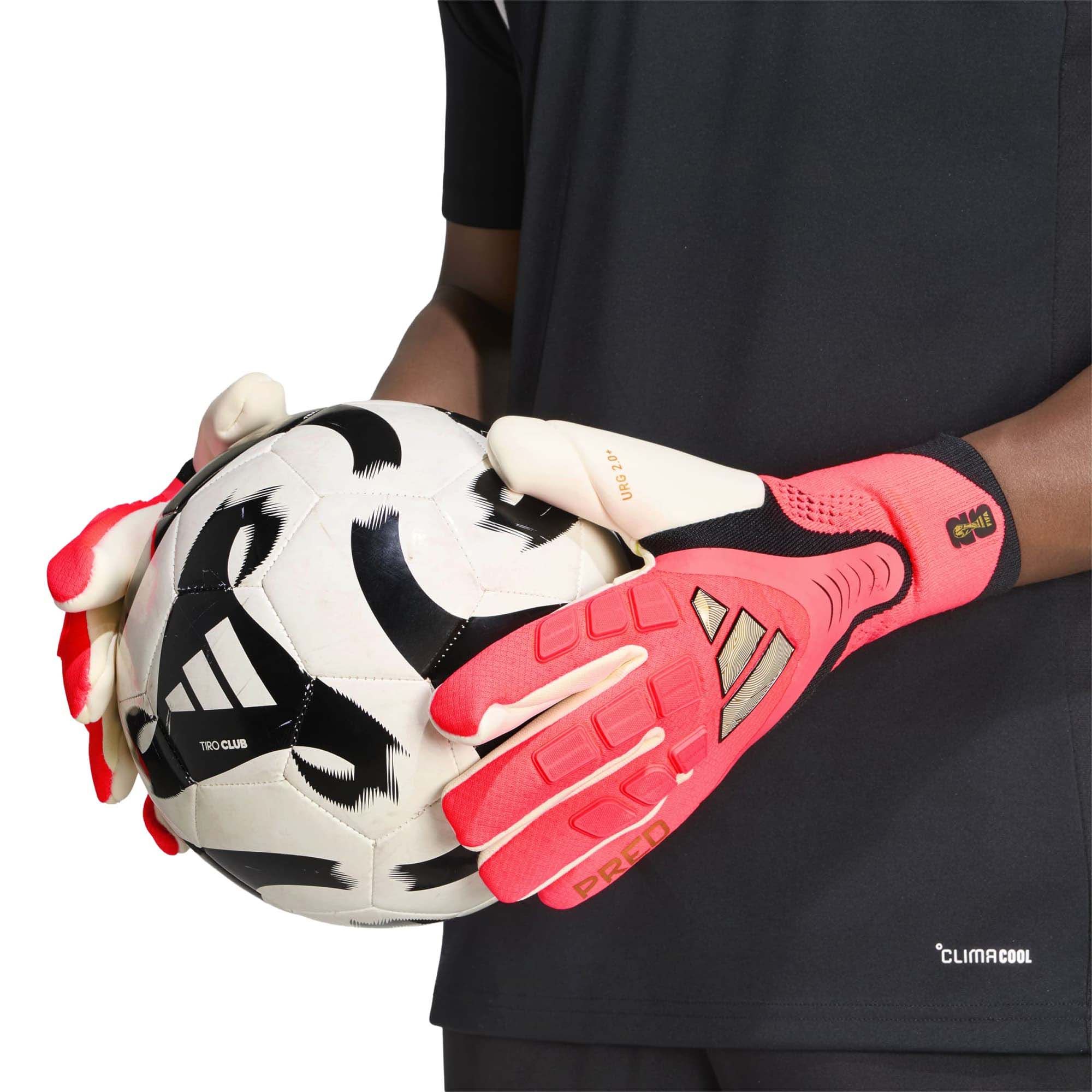 PRED_GL_PRO_KV6524_IVORYSO_Image_7
