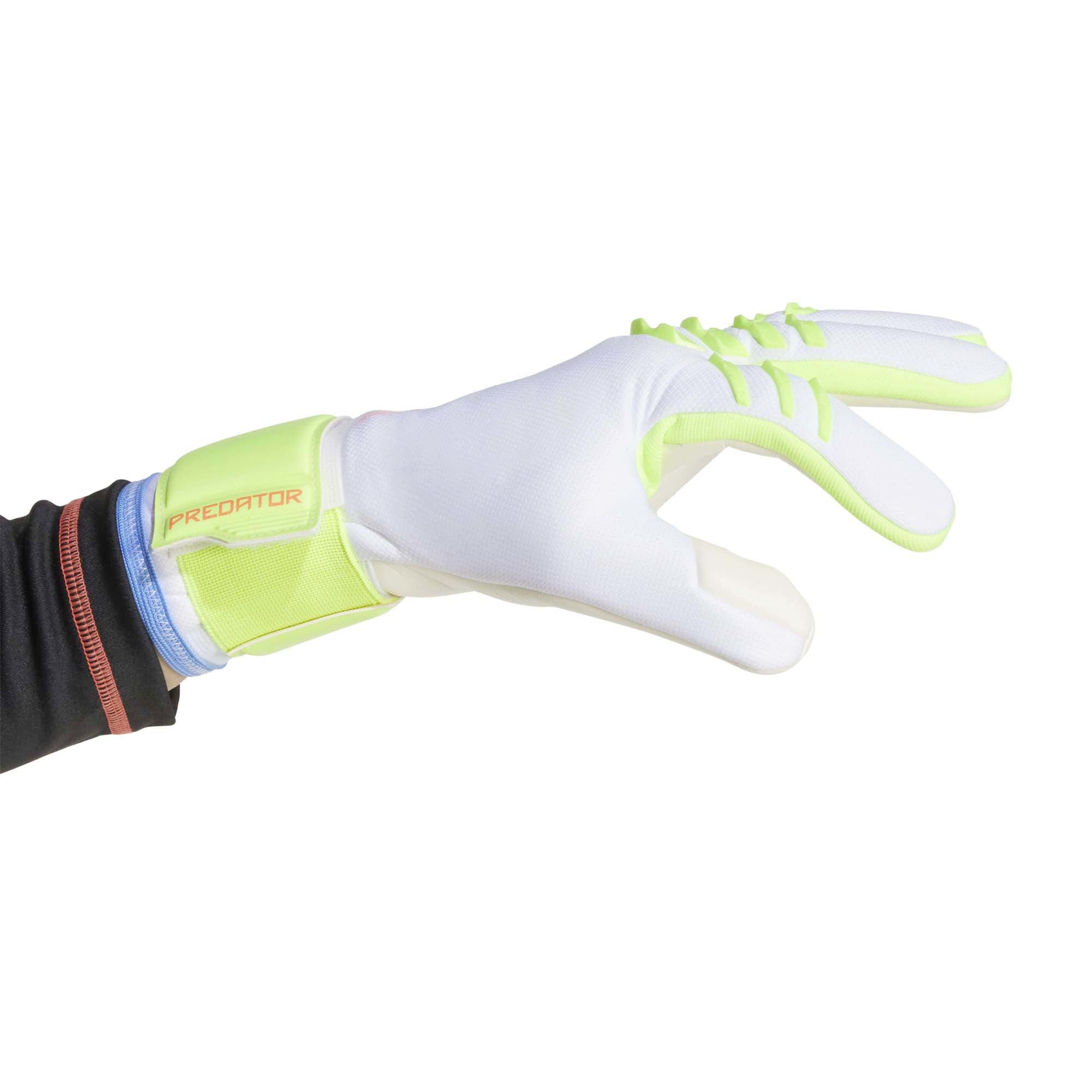 PRED_GL_TRN_J_JH3812_WHITELU_Image_2