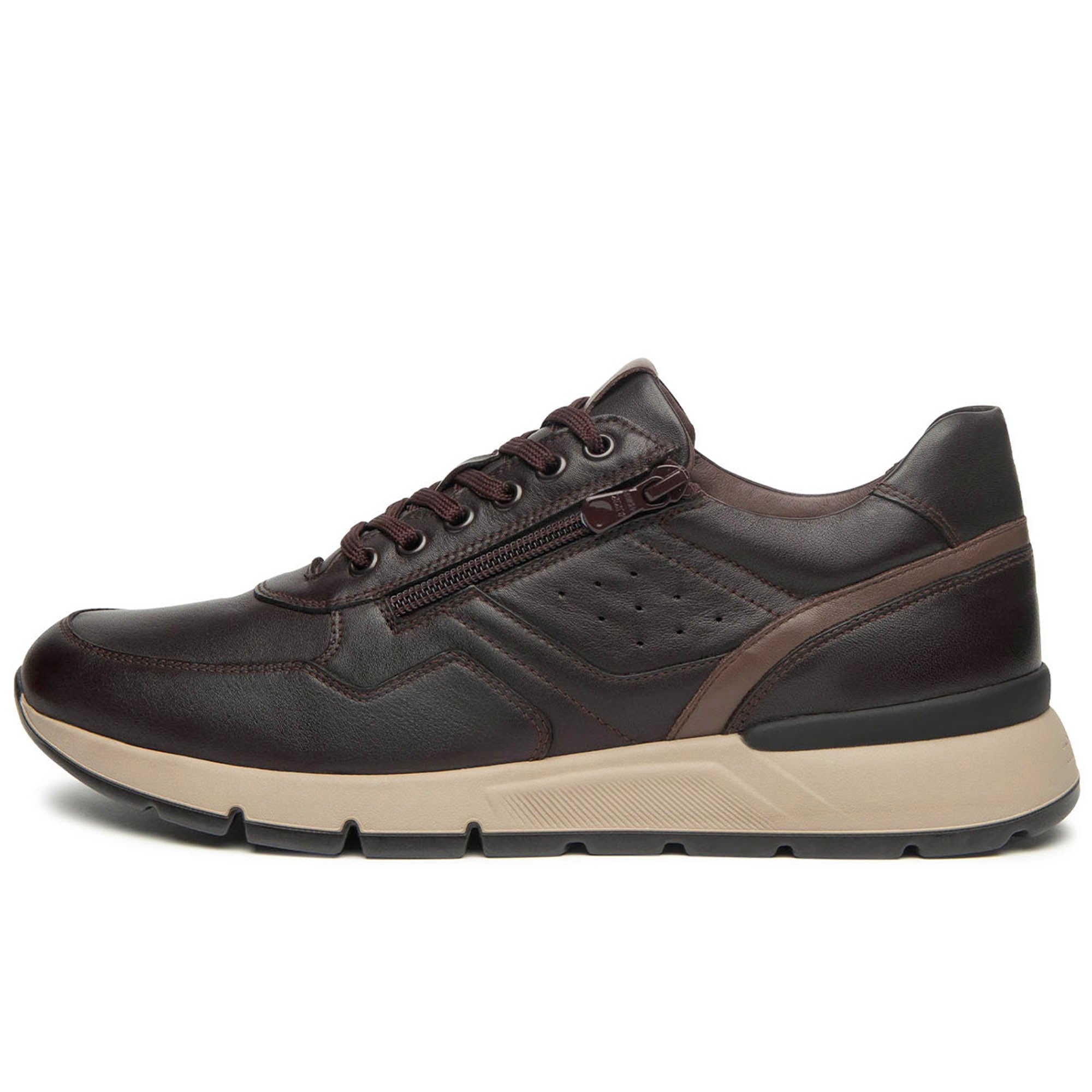 SAVANA_SAUVAGE_TAUPE_PUBIDENSPOGGIO_B16_I500870U_322_Image_1