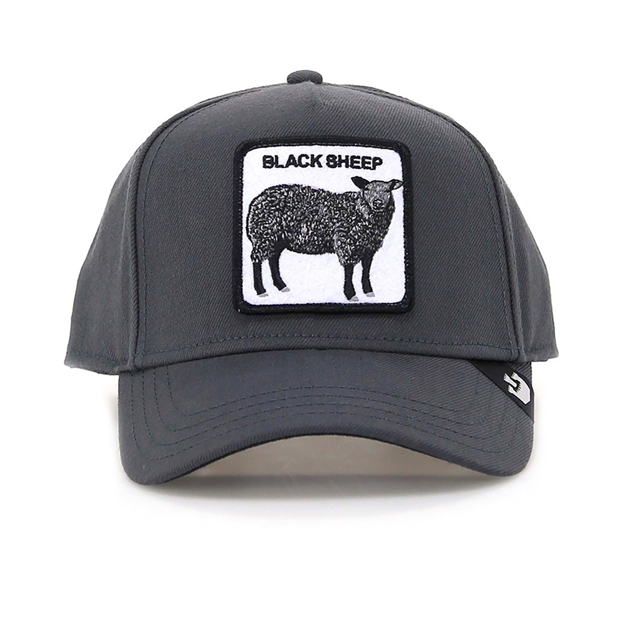 SHEEP_FIELD_100_1011457_CHA_Image_1