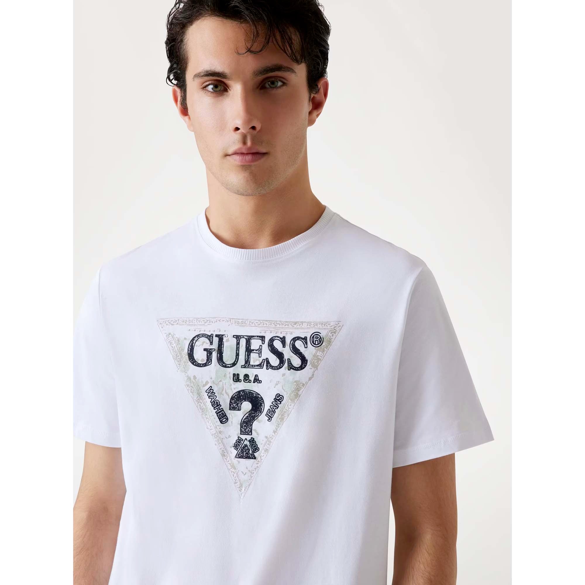 SS_CN_GUESS_TRIANGLE_TEE_M5YI15I3Z14_G011_Image_4