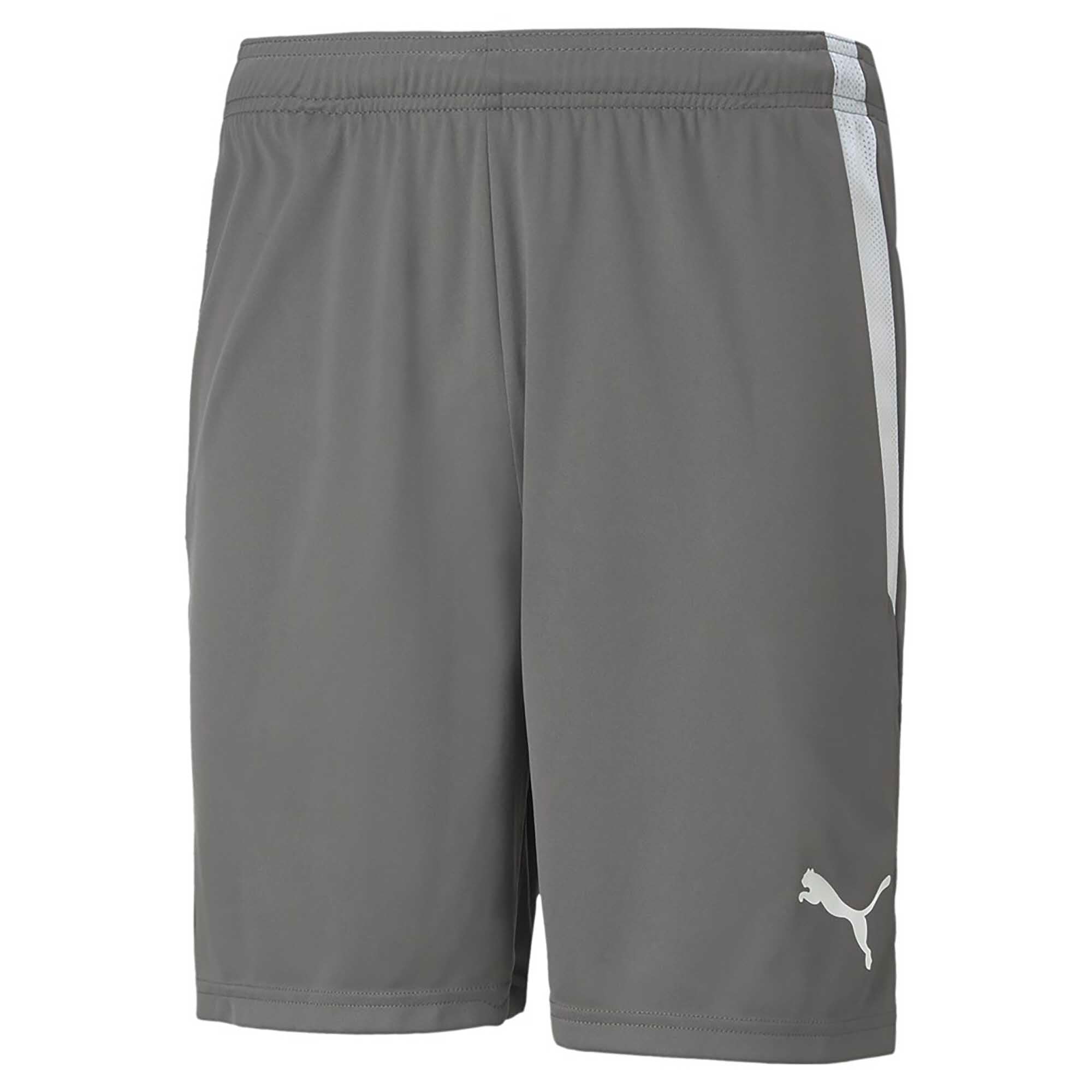TEAMLIGA_SHORTS_704924_13_Image_1
