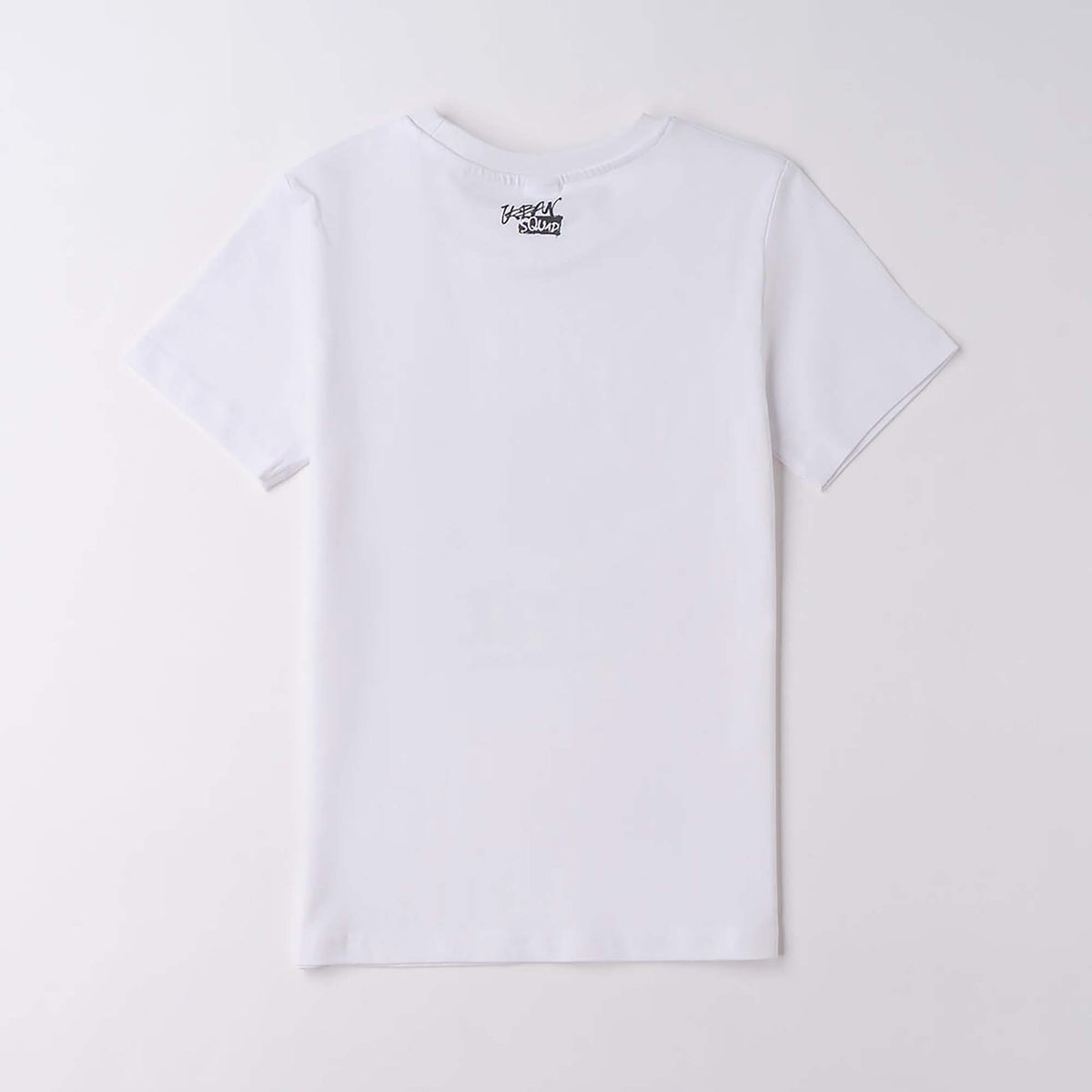 TEE_SHIRT_4F40000_0113_Image_2