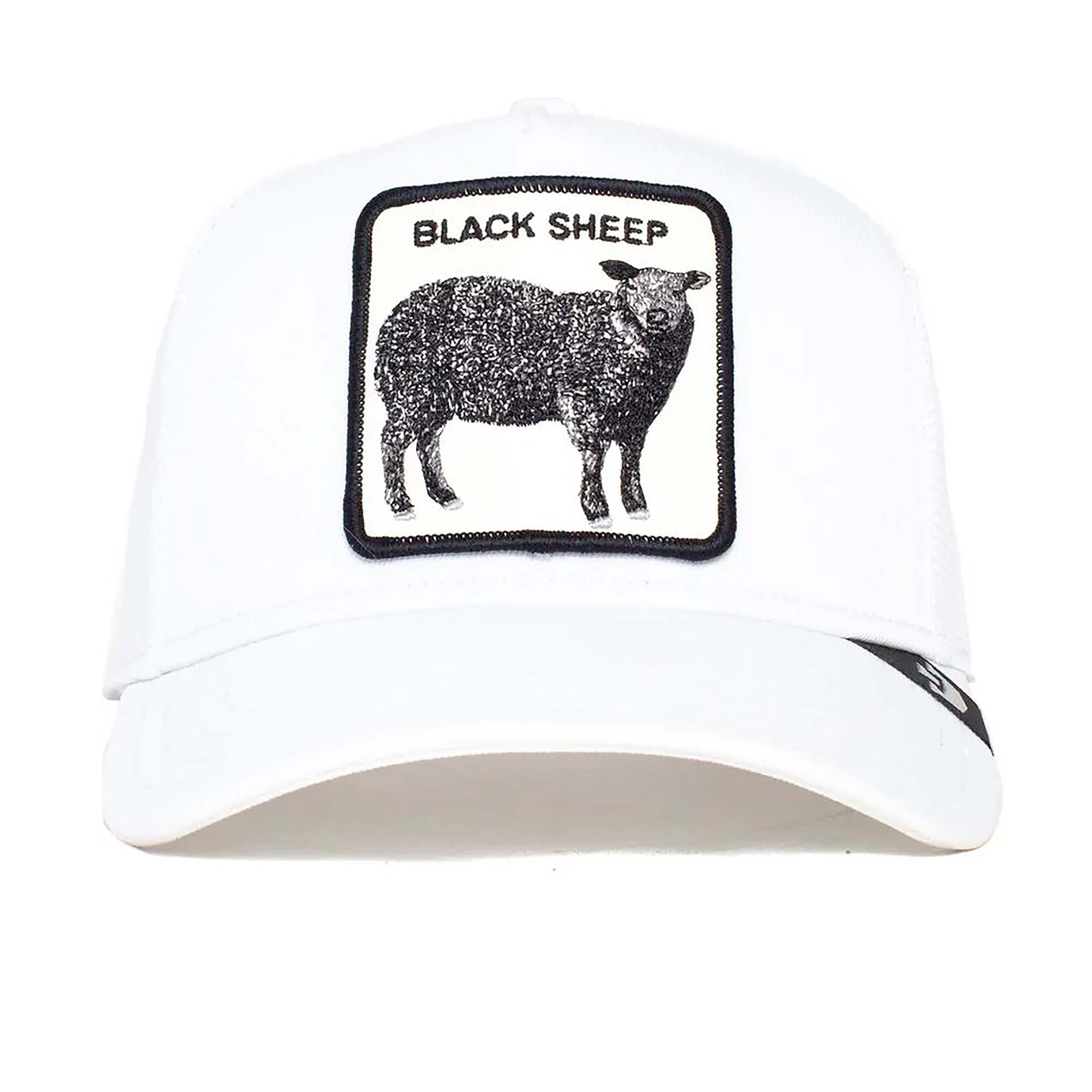 THE_BLACK_SHEEP_1010380_IVO_Image_1