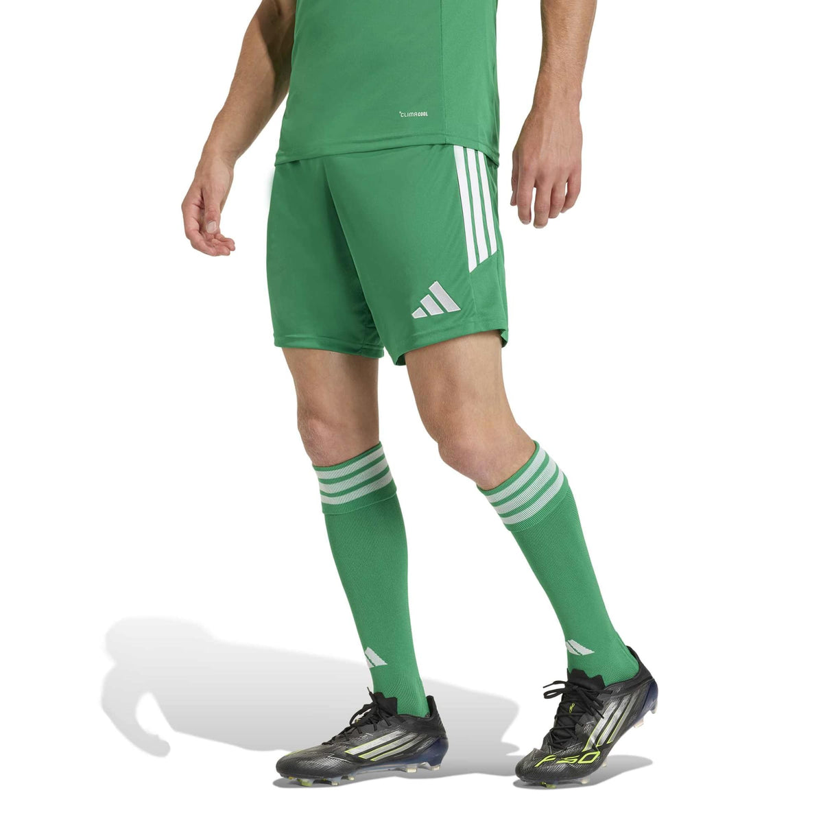 TIRO26L_SHO_M_KA8774_TEAGRWH_Image_2