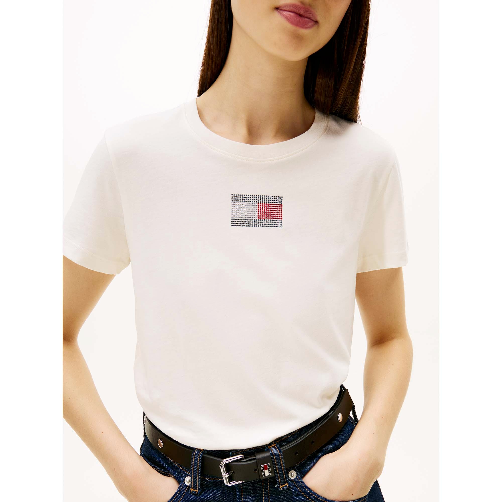 TJW_REG_PARTY_FLAG_T_DW0DW21965_YBH_Image_4