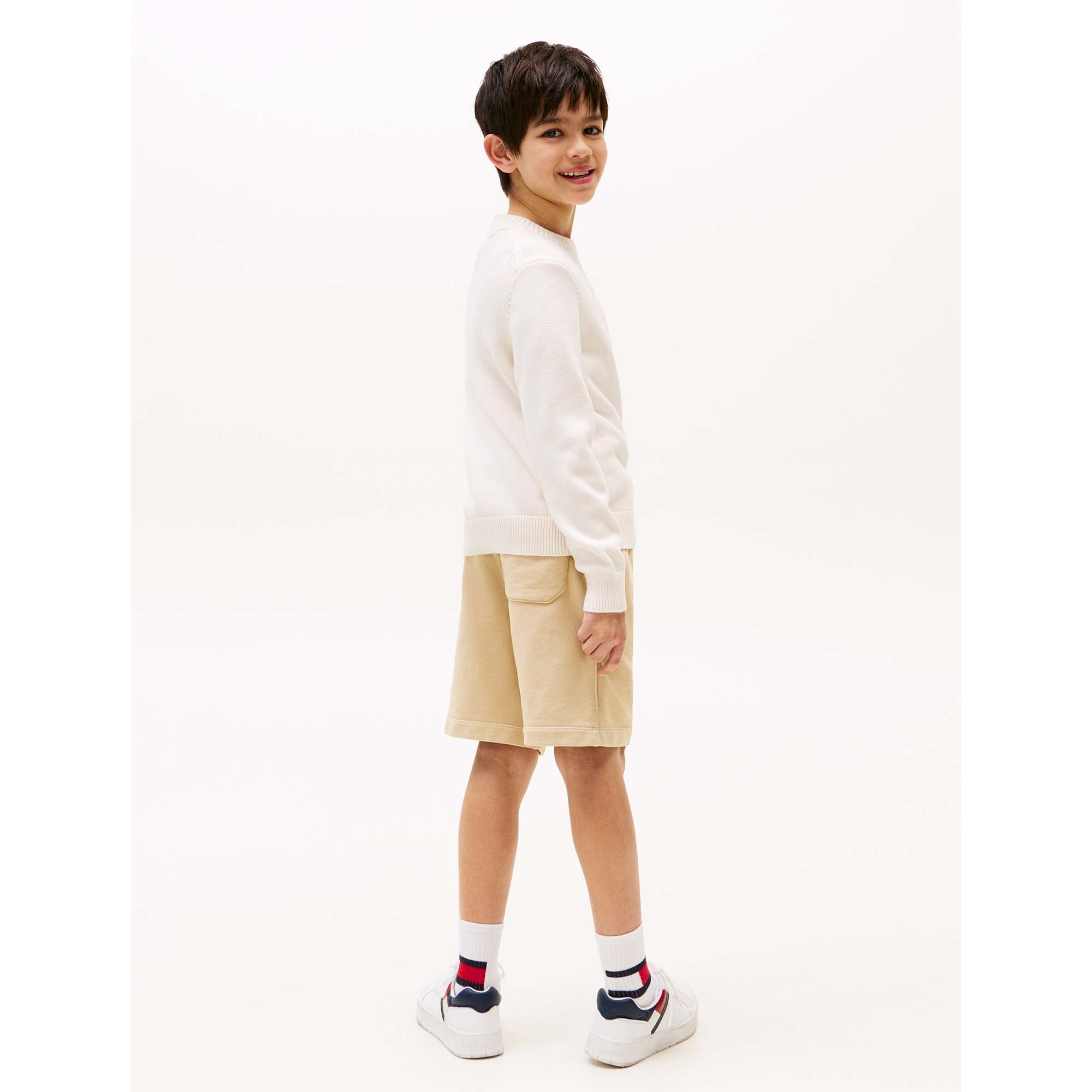 TOMMY_SCRIPT_FLAG_TONAL_SWEATE_THKB0KB09810T_Z00_Image_3