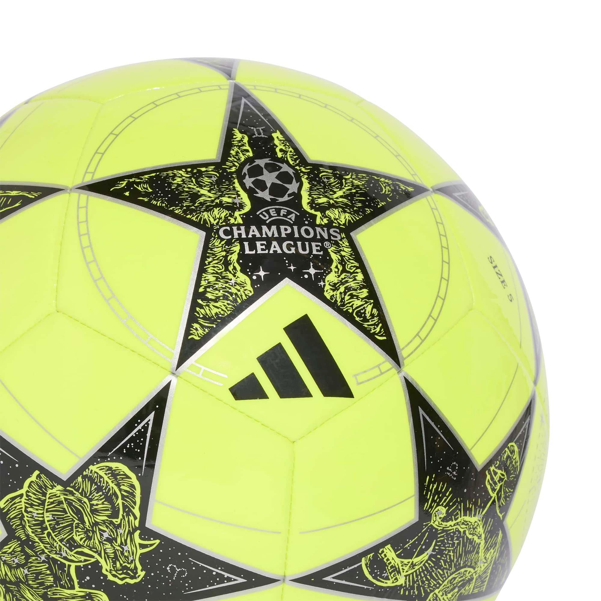 UCL_CLB_JP1537_SYELLOB_Image_3