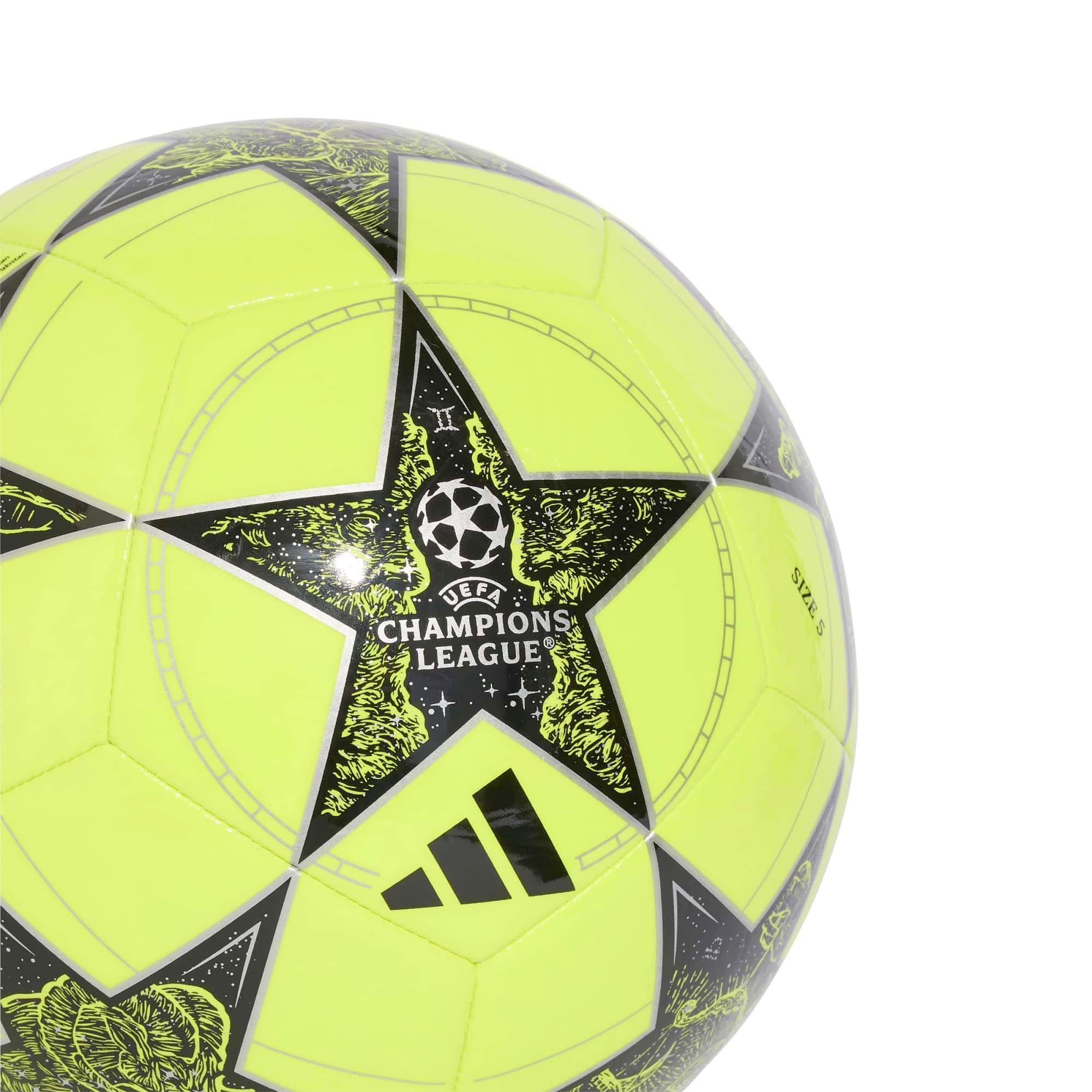 UCL_CLB_JP1537_SYELLOB_Image_4