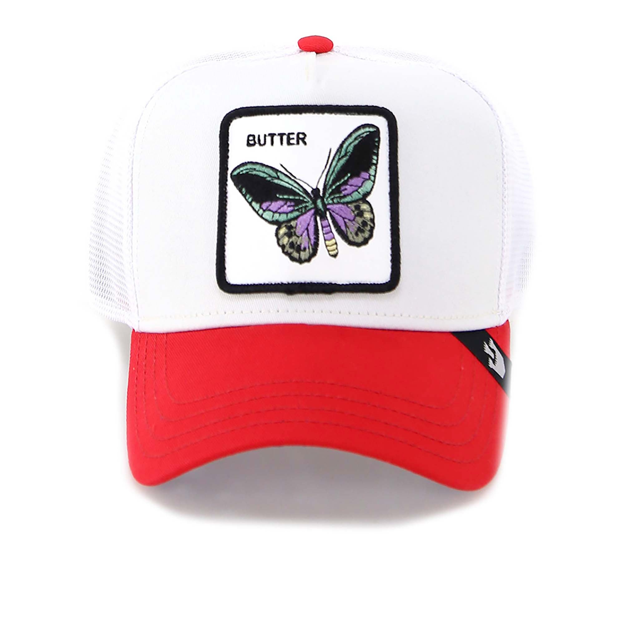 V2_BUTTERFLY_1011339_IVO_Image_1