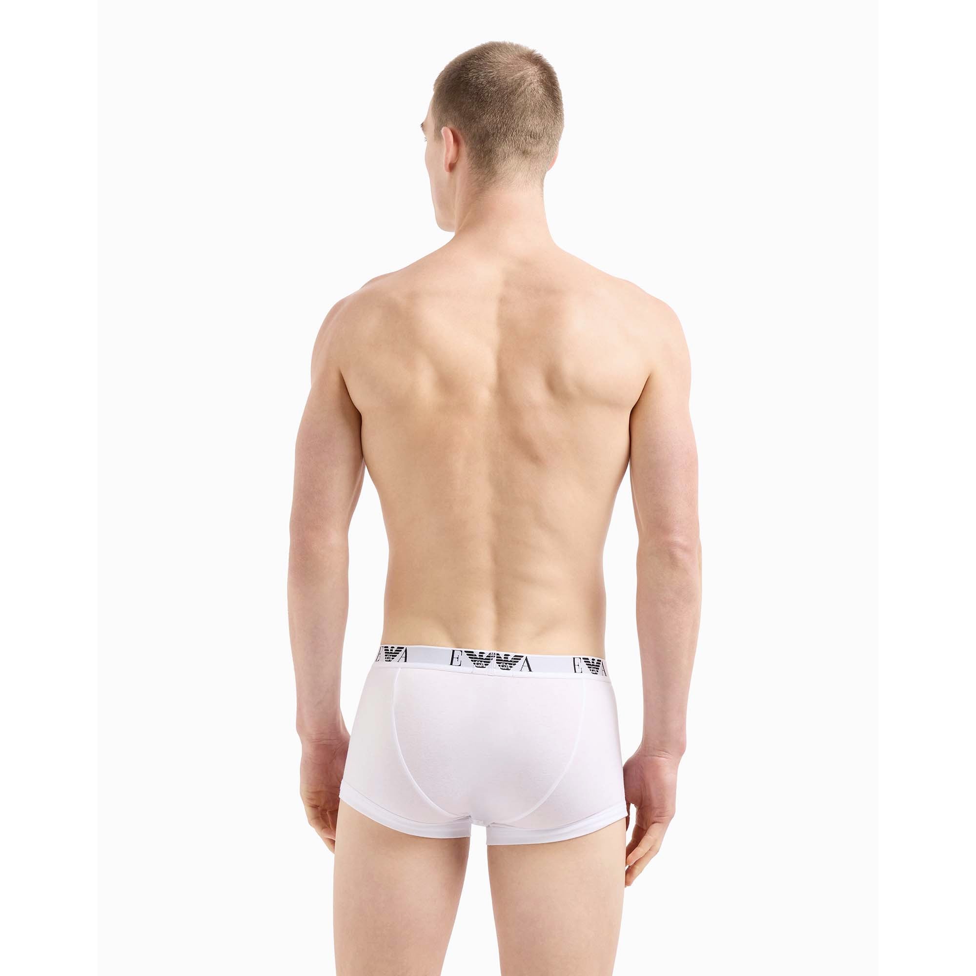 3PK_TRUNK_CC715111357_56110_Image_3