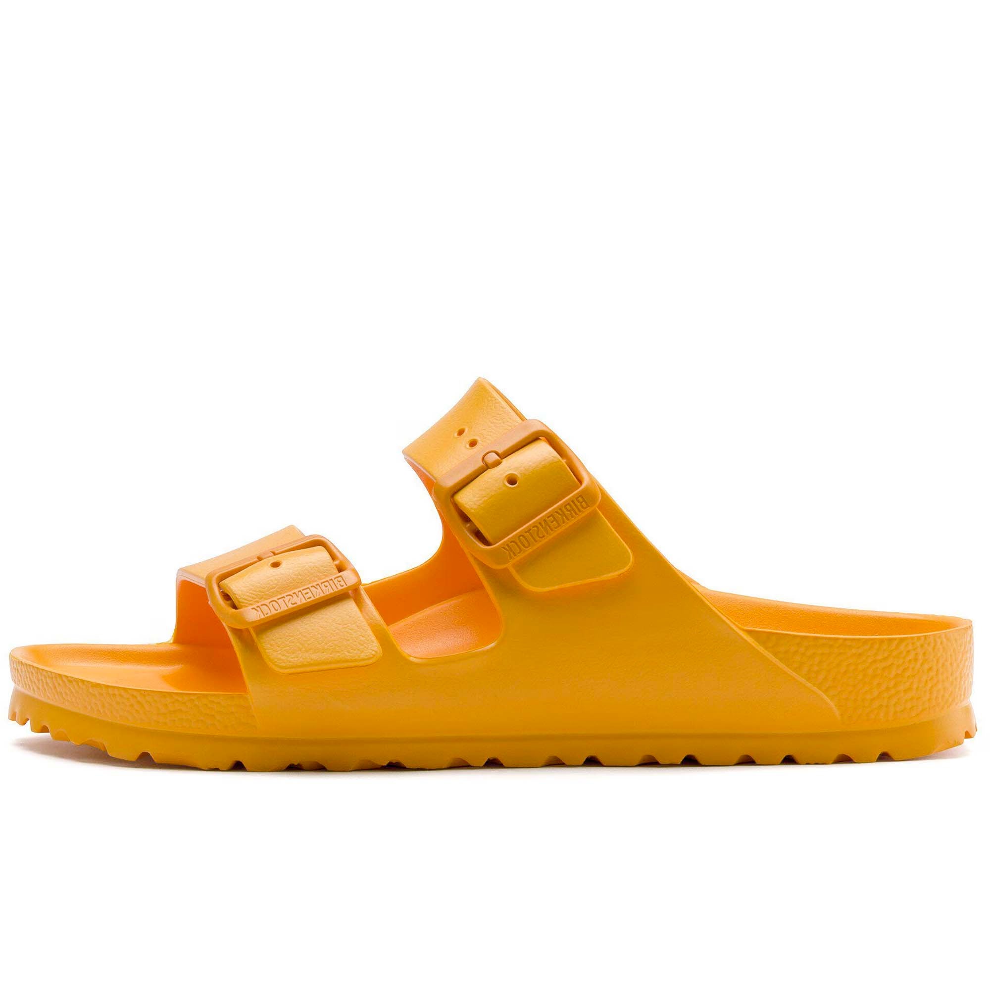 ARIZONA_EVA_1015470_ZINNIA_Image_1