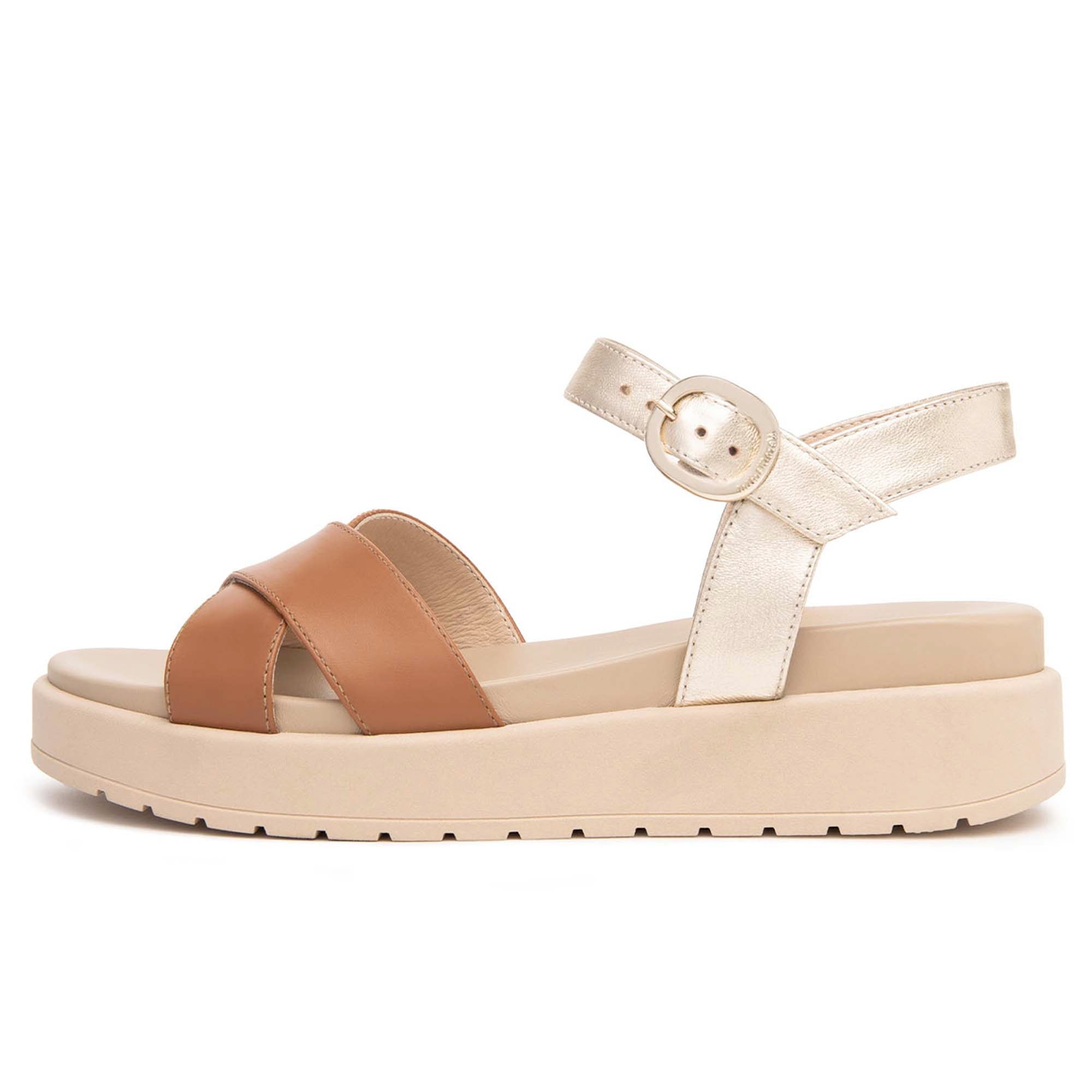 ARMENIA_ETOILE_MIELE_TR_PAMPLONA_9681002_E513704D_329_Image_1