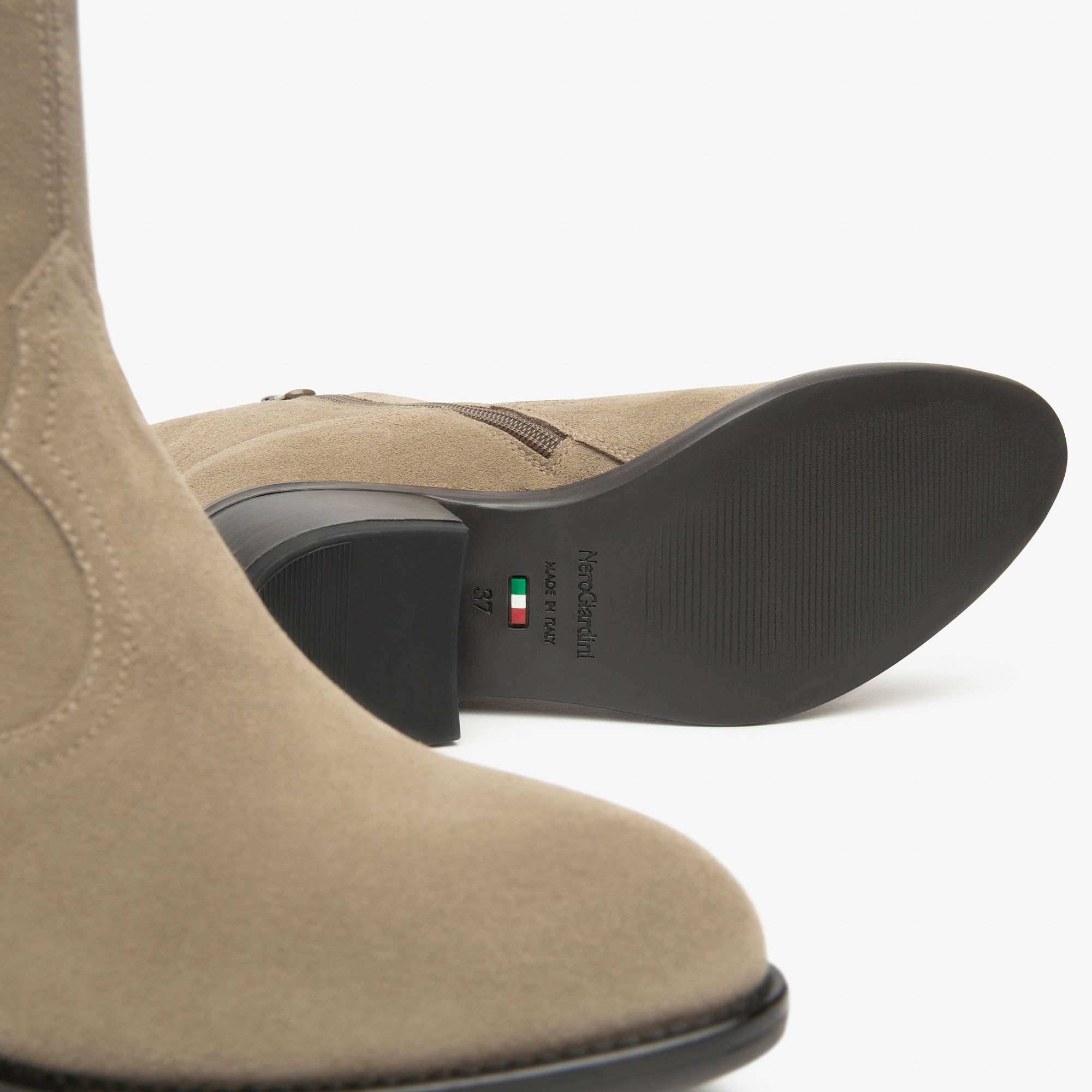 AROLD_TR_BASILEA_828_TMOR_I513904D_501_Image_4