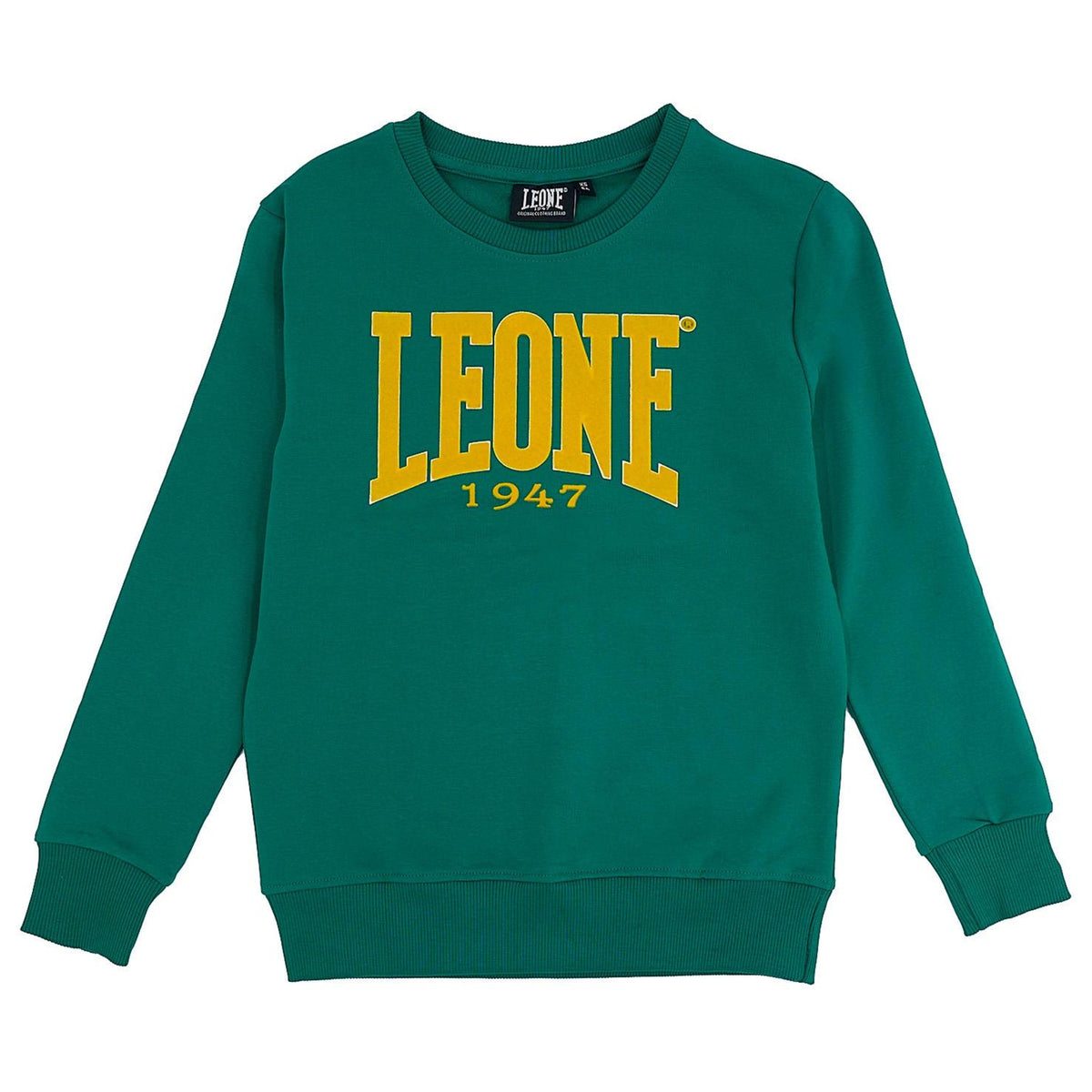 BOY_CREWNECK_COLLEGE_B5425T7F02_210_Image_1