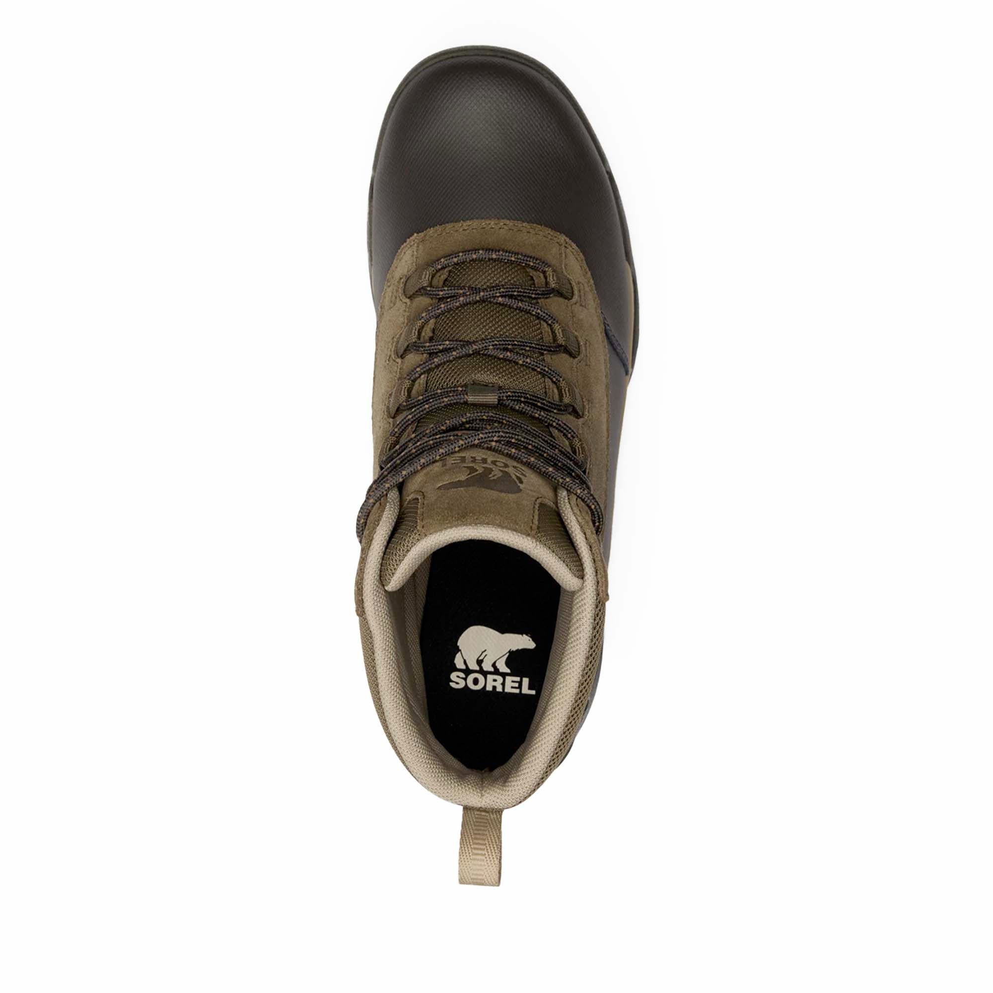 BUXTON_LITE_LACE_PLUS_WP_2084871_245_Image_4