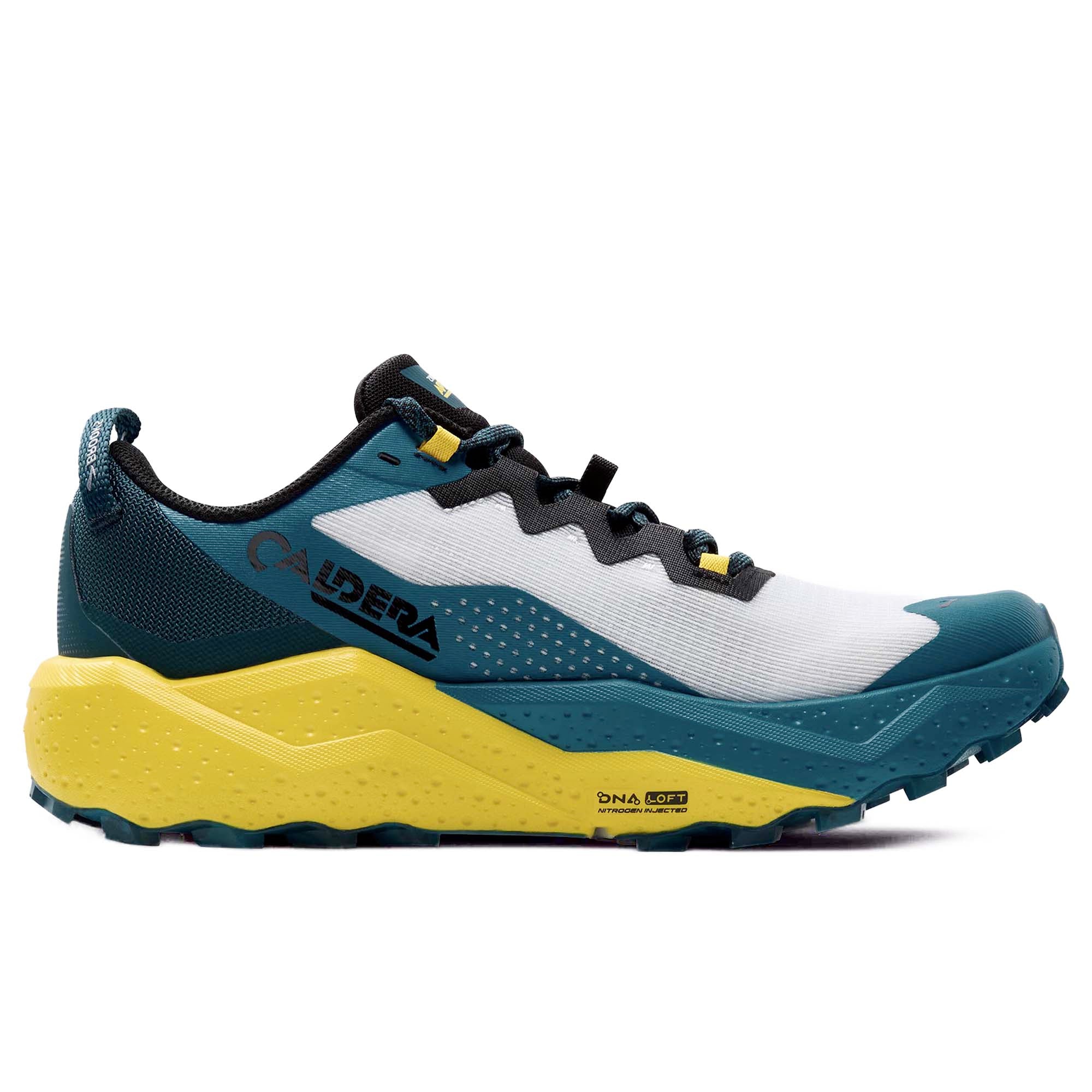 CALDERA_8_110440_1D131_Image_2