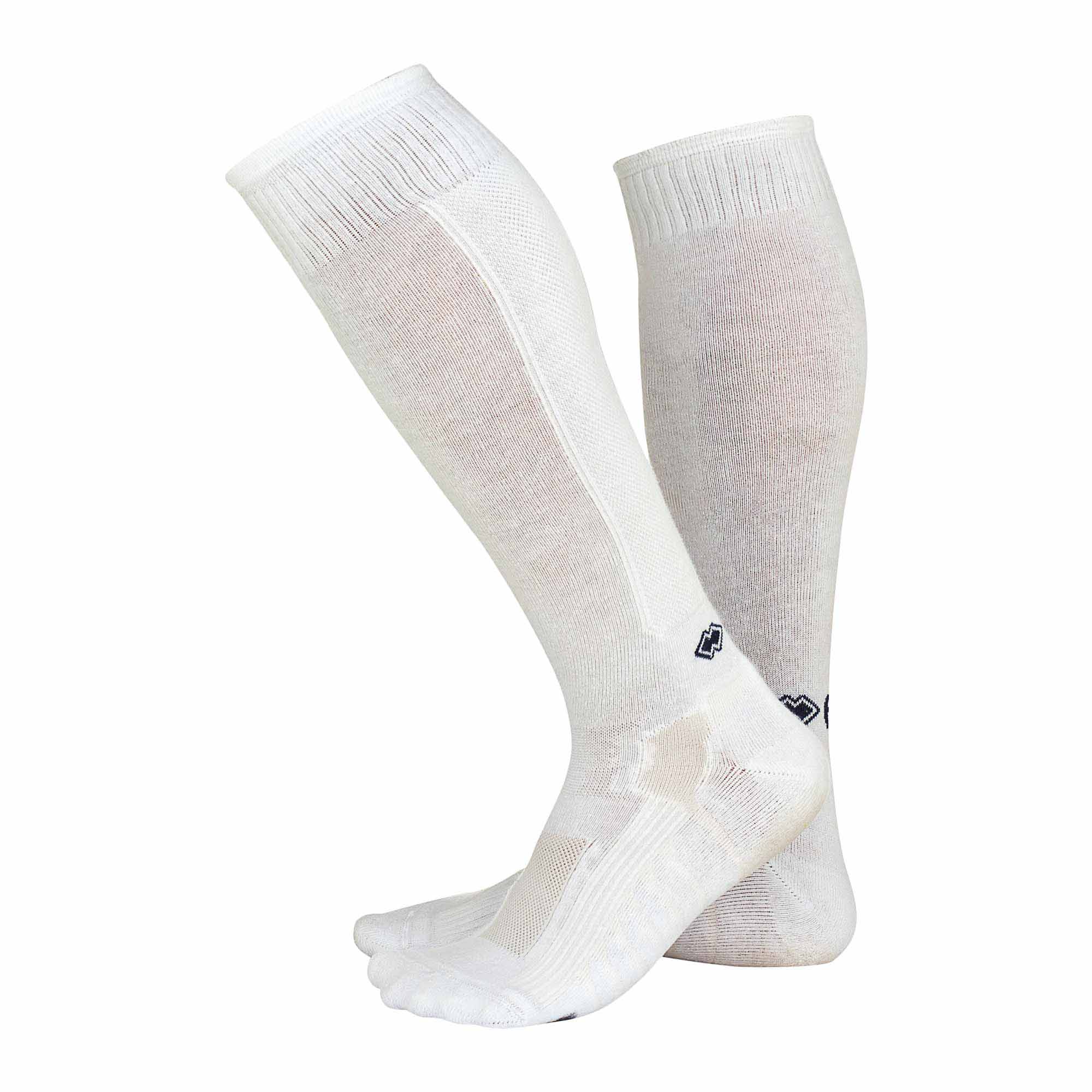 CALZA_ACTIVE_AD_A432_000028_Image_1