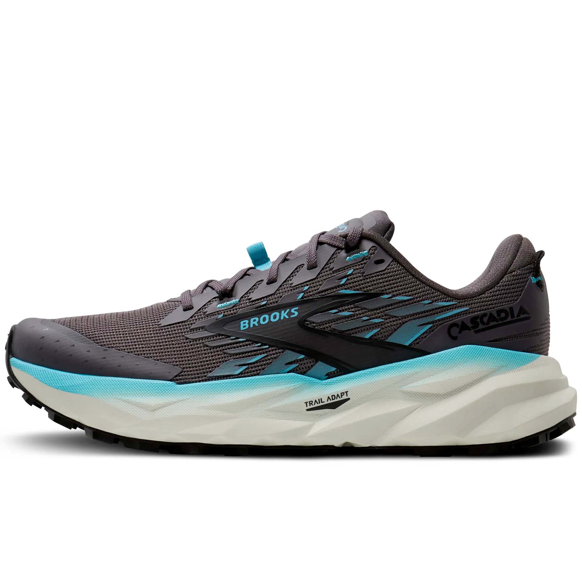 CASCADIA_19_120446_1B093_Image_1