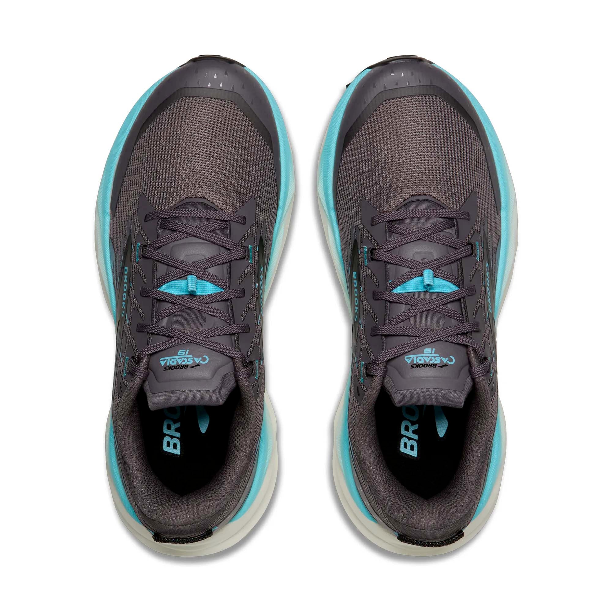 CASCADIA_19_120446_1B093_Image_4