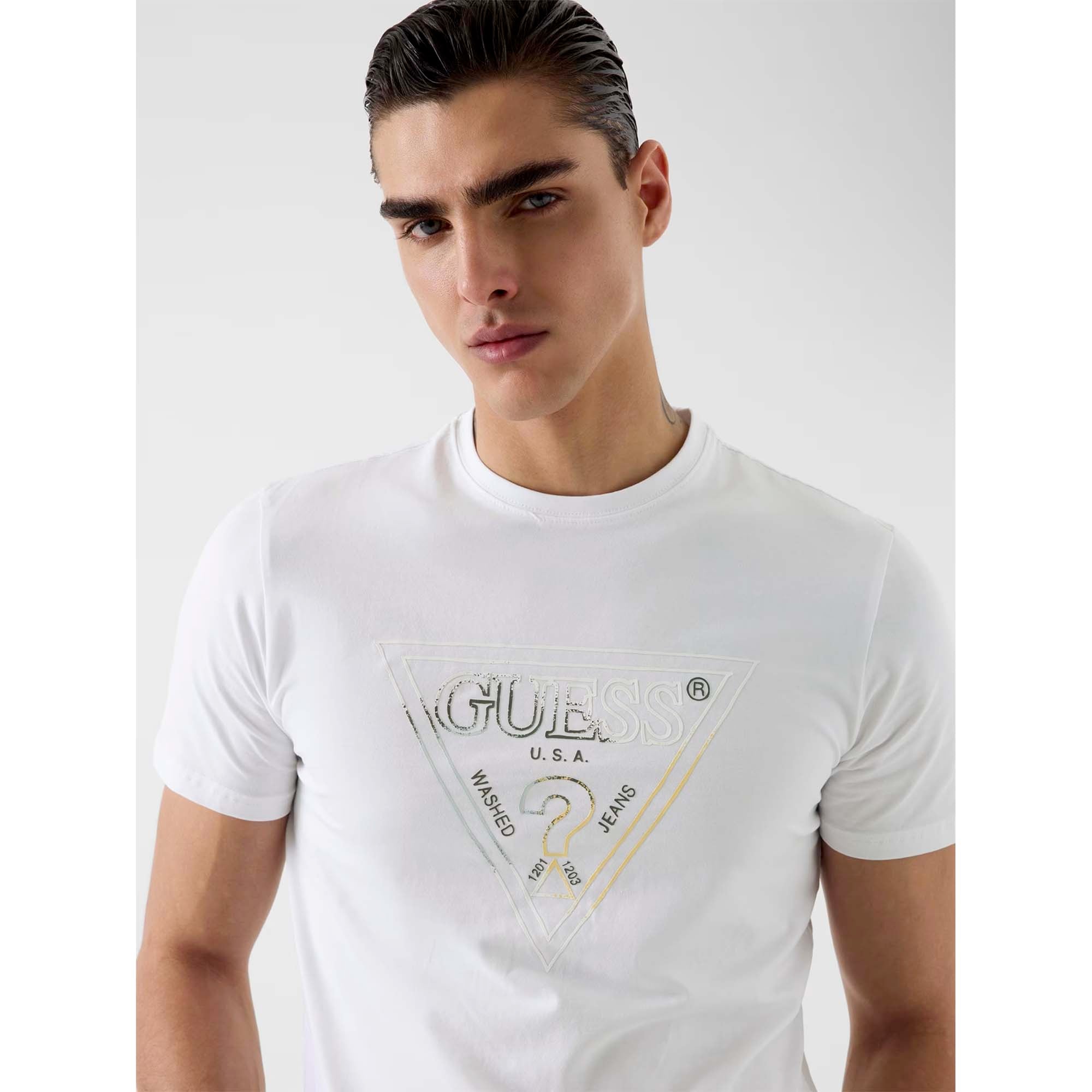 CN_SS_TRIANGLE_HD_MULTICOLOR_T_M6GI11K2992_G011_Image_4