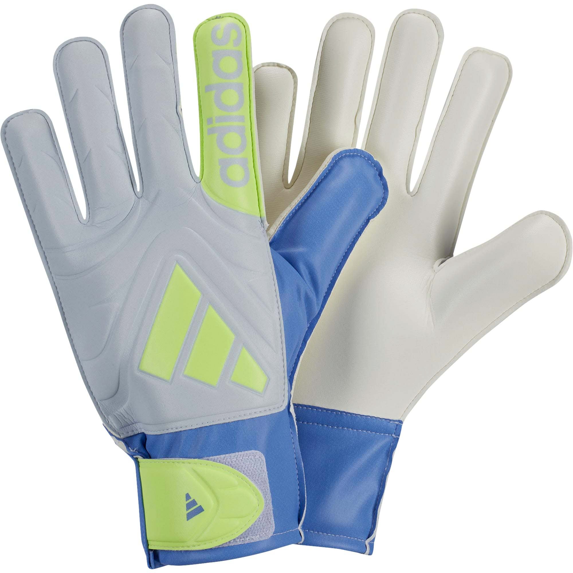 COPA_GL_CLB_JH3790_BLUFUSH_Image_1