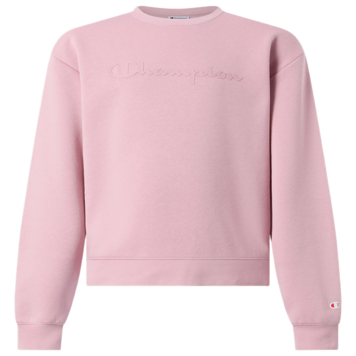 CREWNECK_SWEATSHIRT_405484_PS090_Image_1