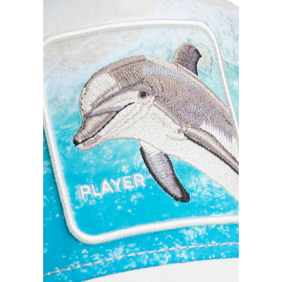 DOLPHIN_IN_THE_ELEMENT_1012700_DUS_Image_7