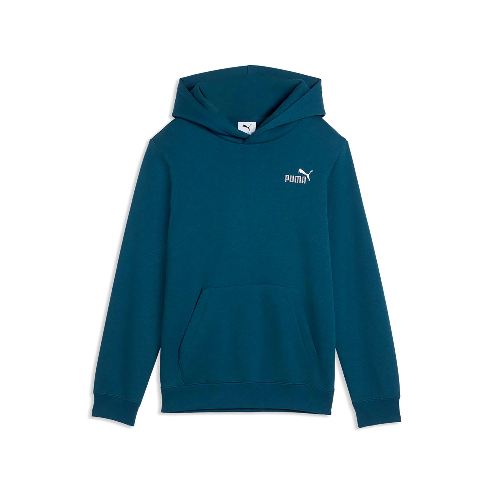 ESS_2_COLOR_SMALL_NO_1_LOGO_HOODIE_FL_B_685825_36_Image_1