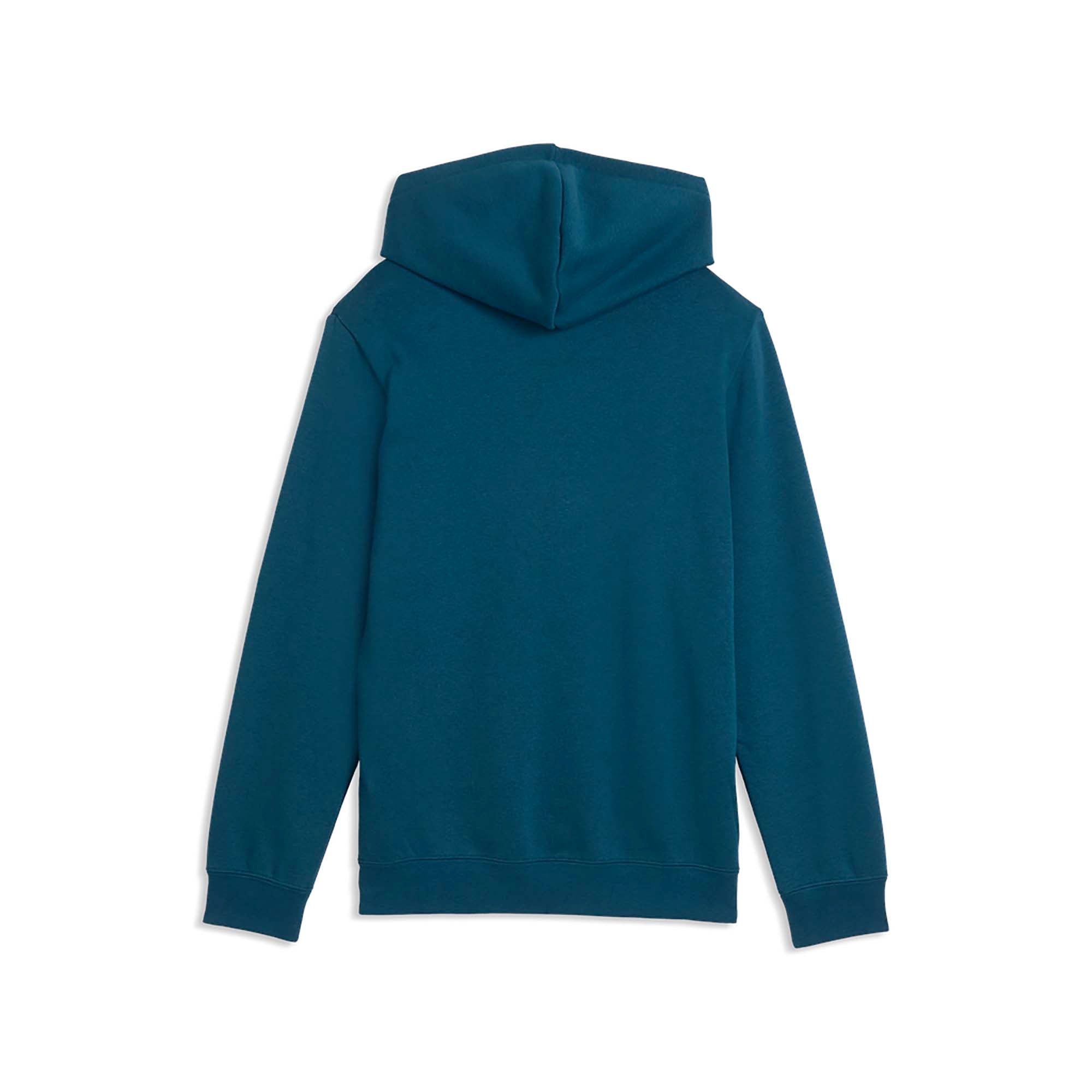 ESS_2_COLOR_SMALL_NO_1_LOGO_HOODIE_FL_B_685825_36_Image_2