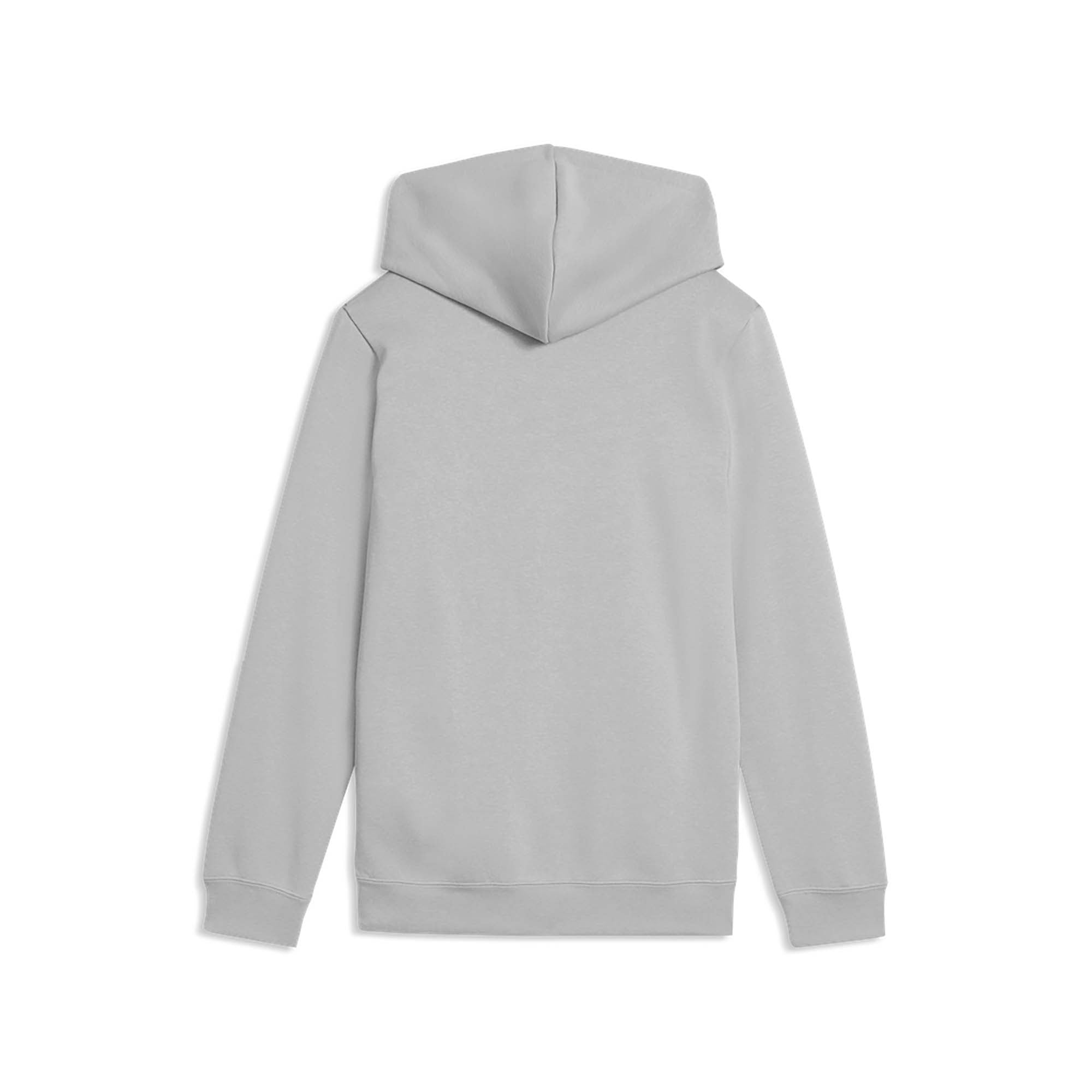 ESS_2_COLOR_SMALL_NO_1_LOGO_HOODIE_FL_B_685825_63_Image_2