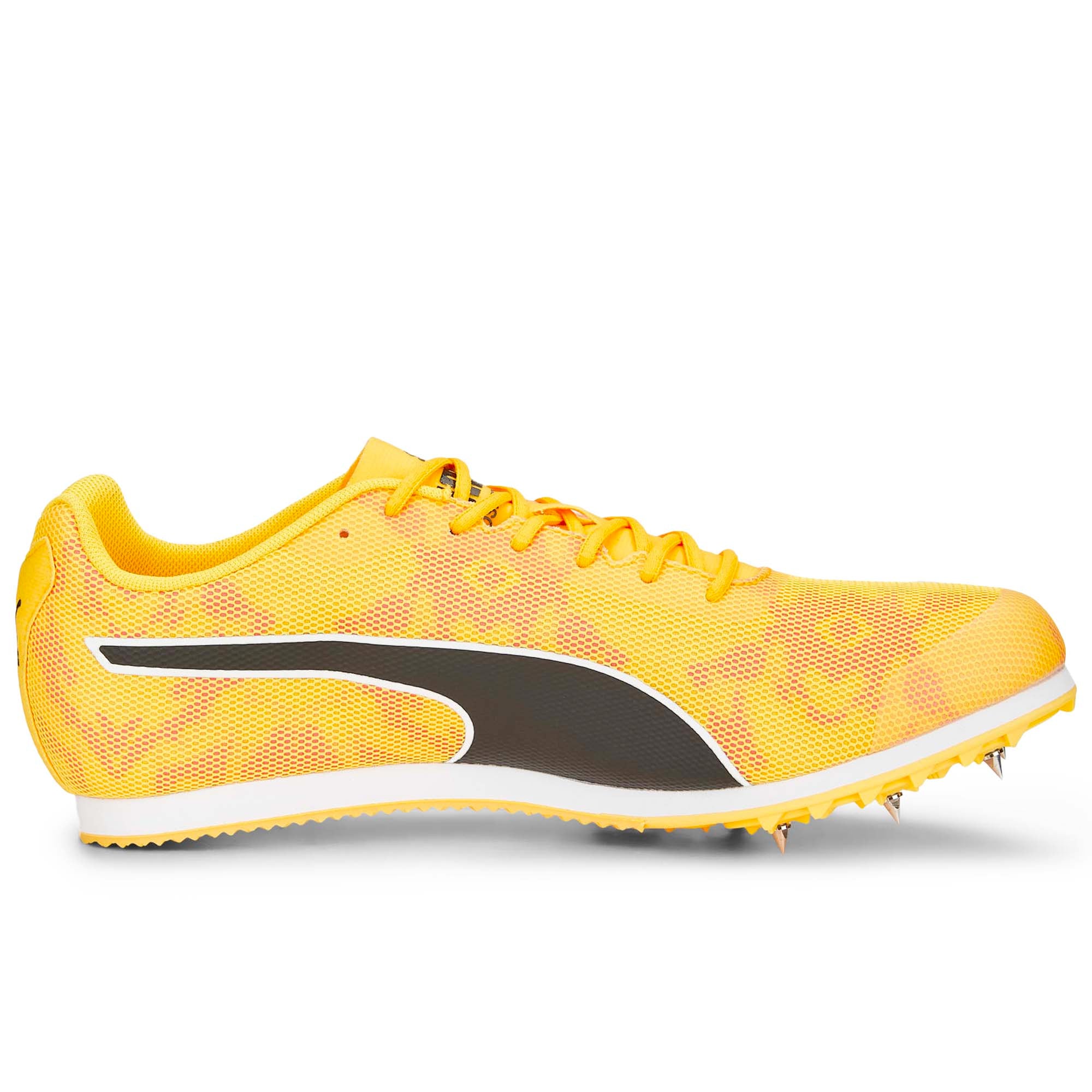 EVOSPEED_STAR_8_377959_01_Image_2