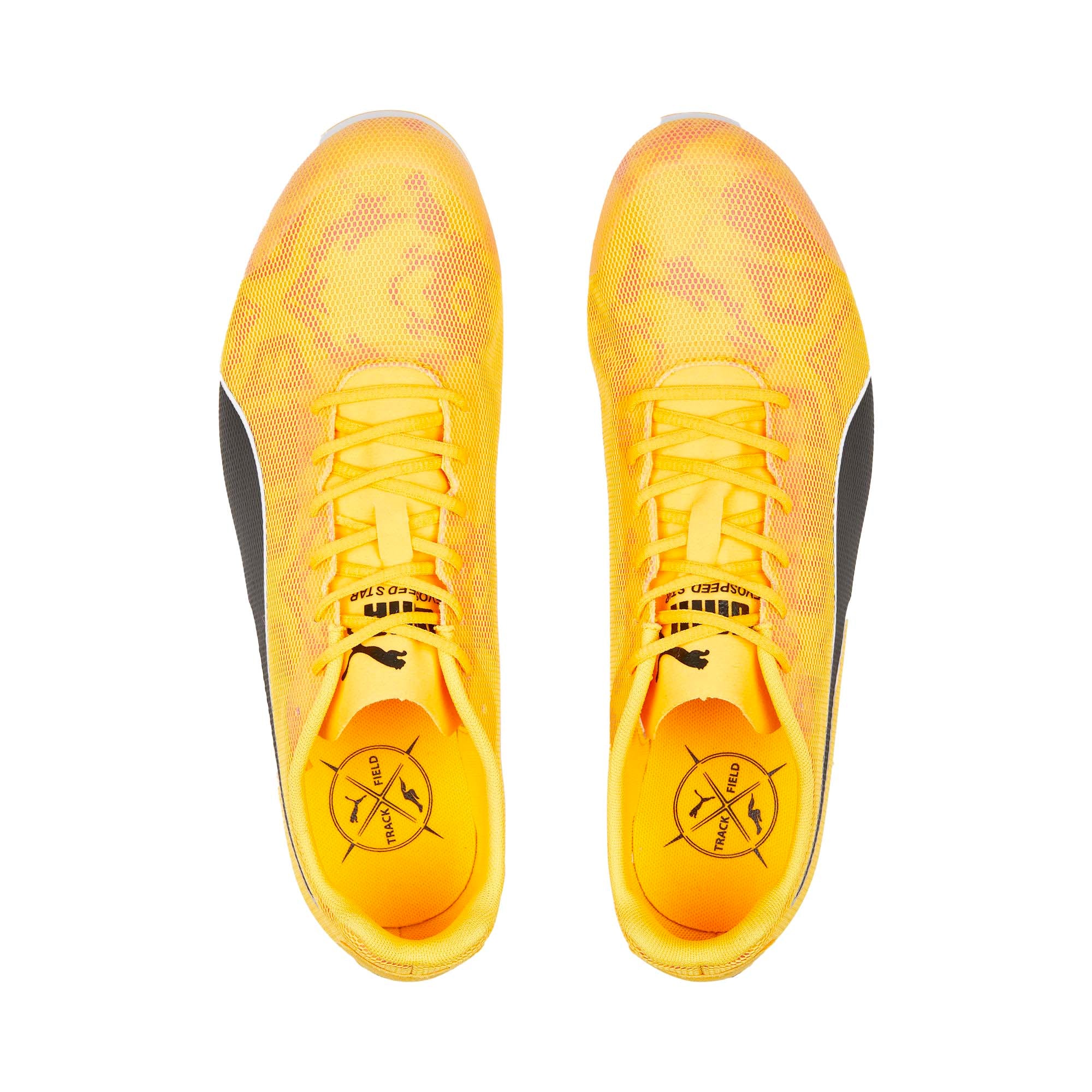 EVOSPEED_STAR_8_377959_01_Image_3