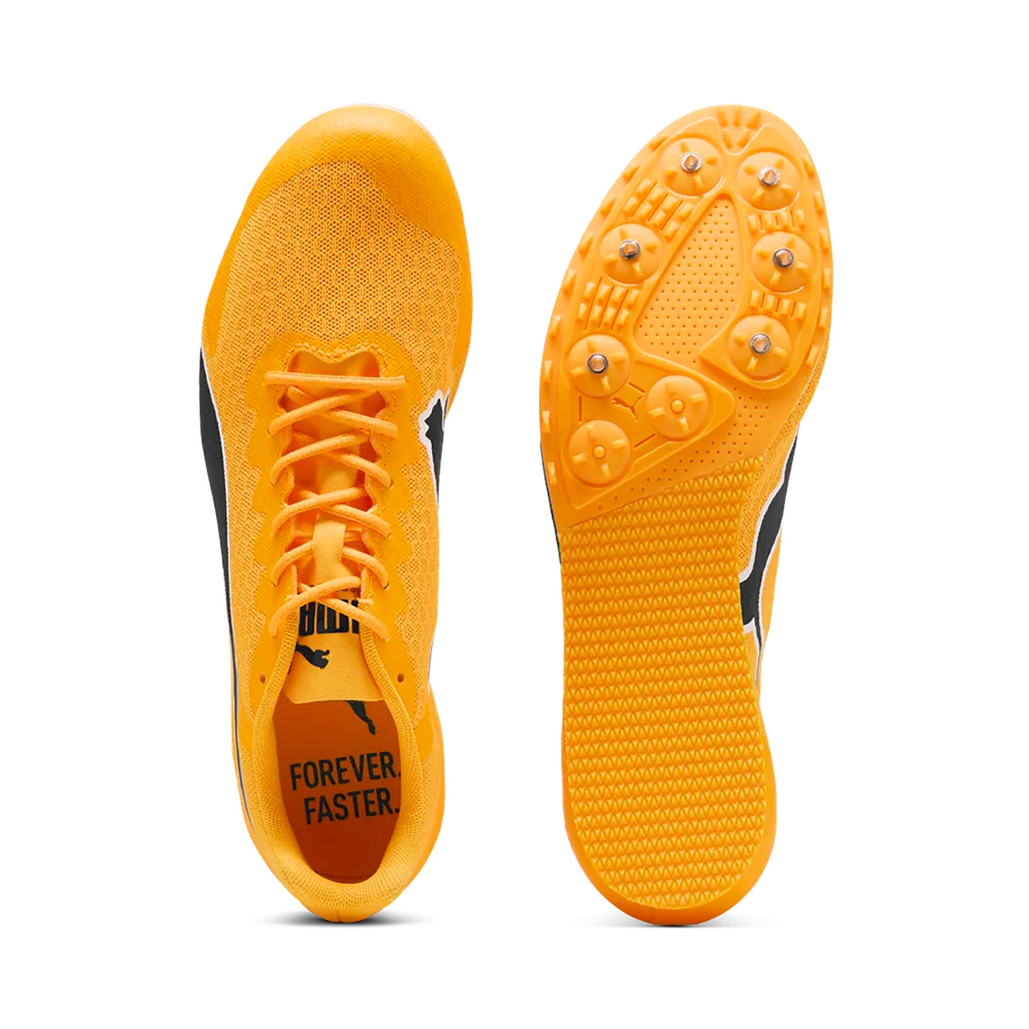 EVOSPEED_STAR_9_311379_03_Image_4