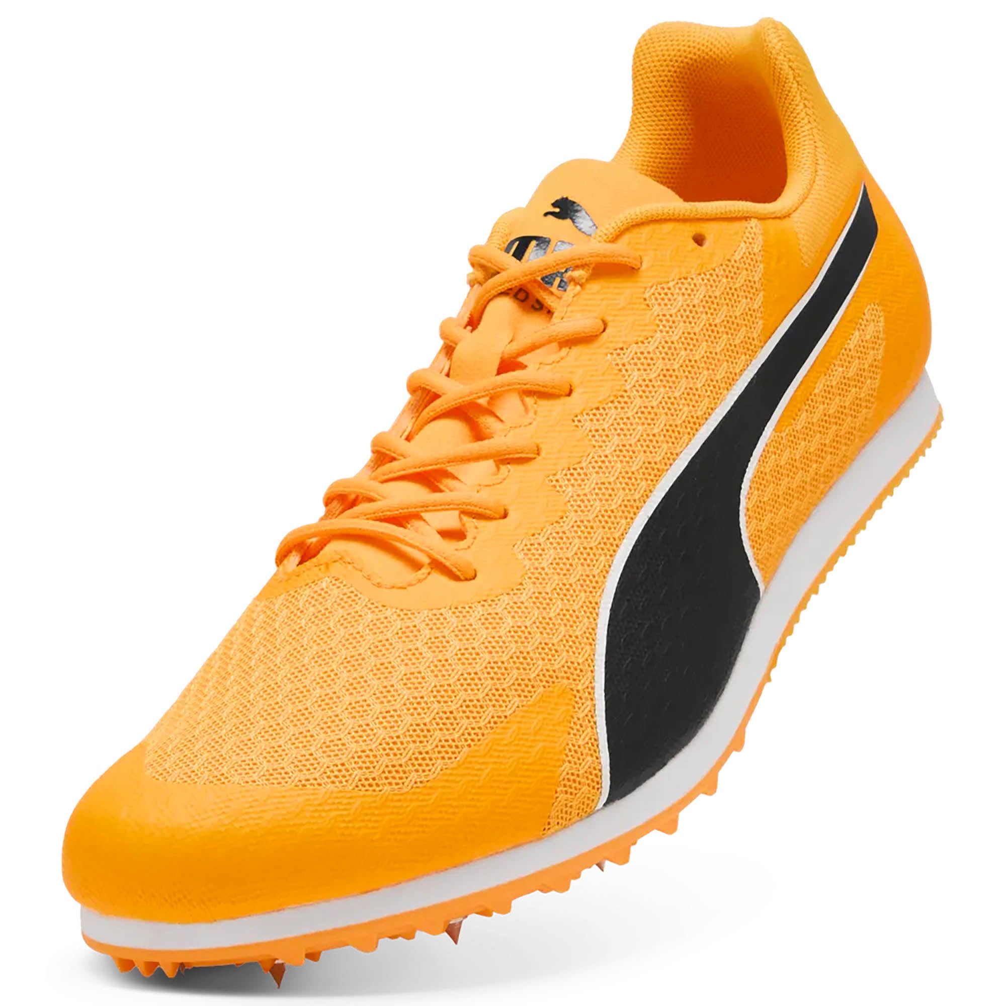 EVOSPEED_STAR_9_311379_03_Image_5