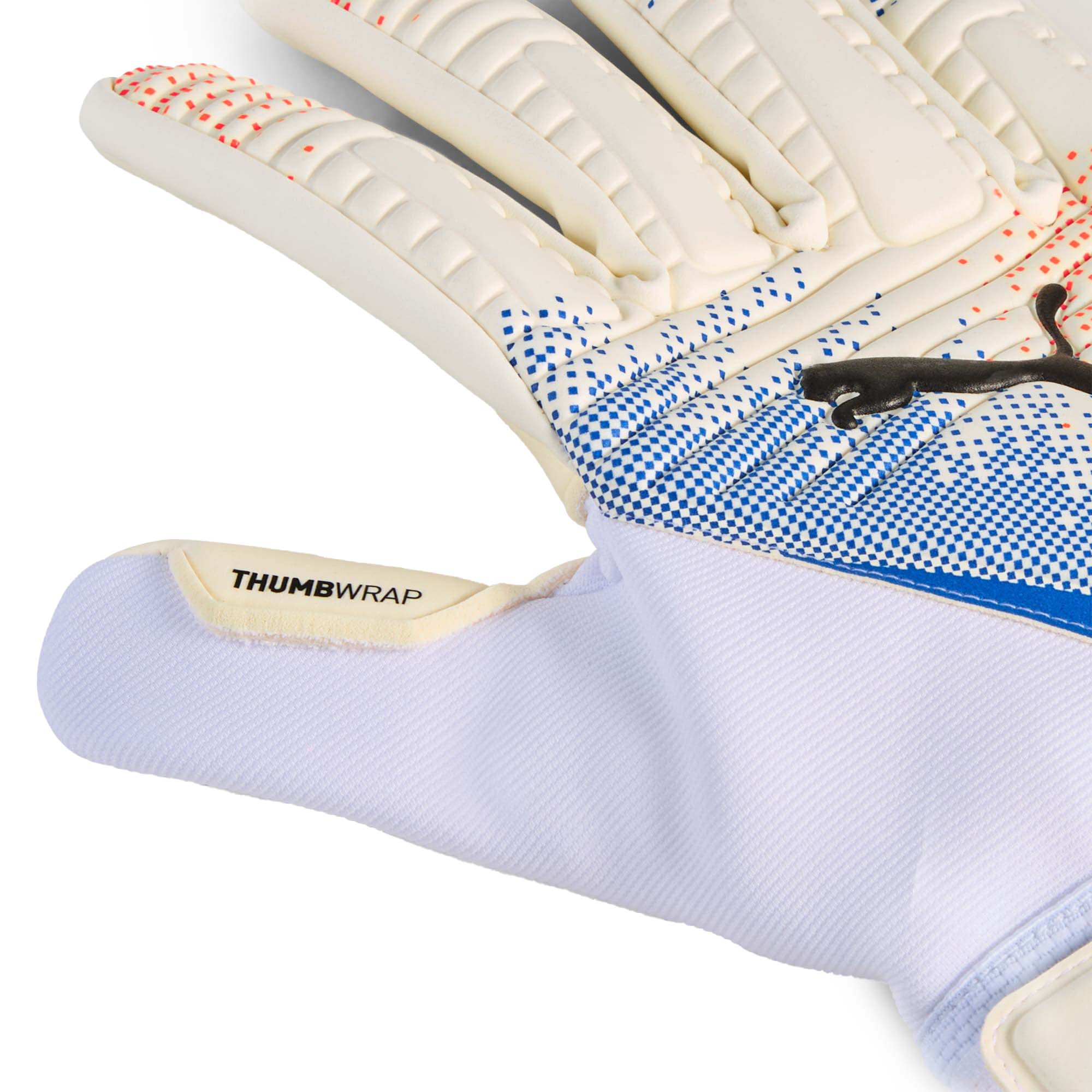 FUTURE_MATCH_NC_042067_11_Image_2