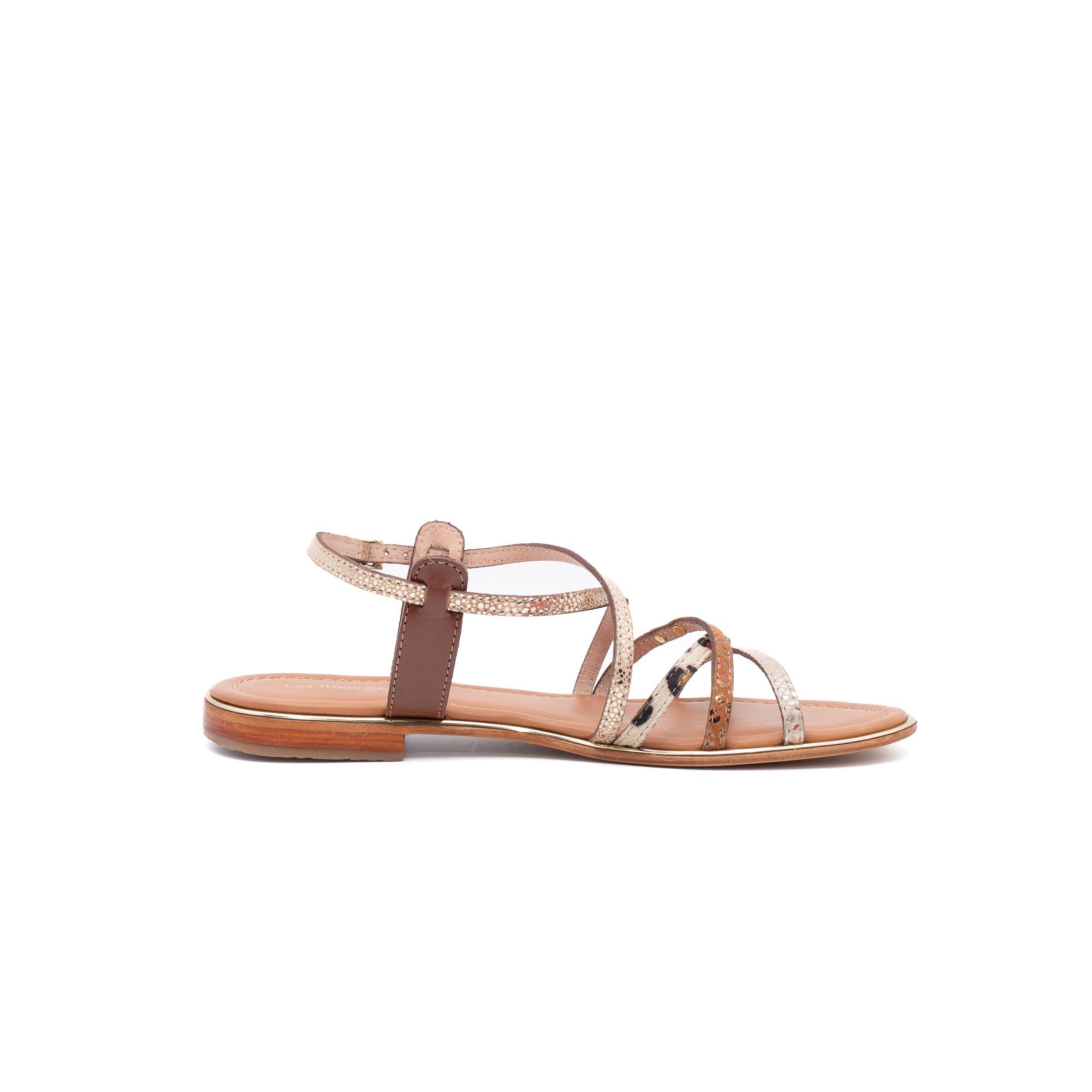 HARRY_C330101_LEOPARDO_Image_2