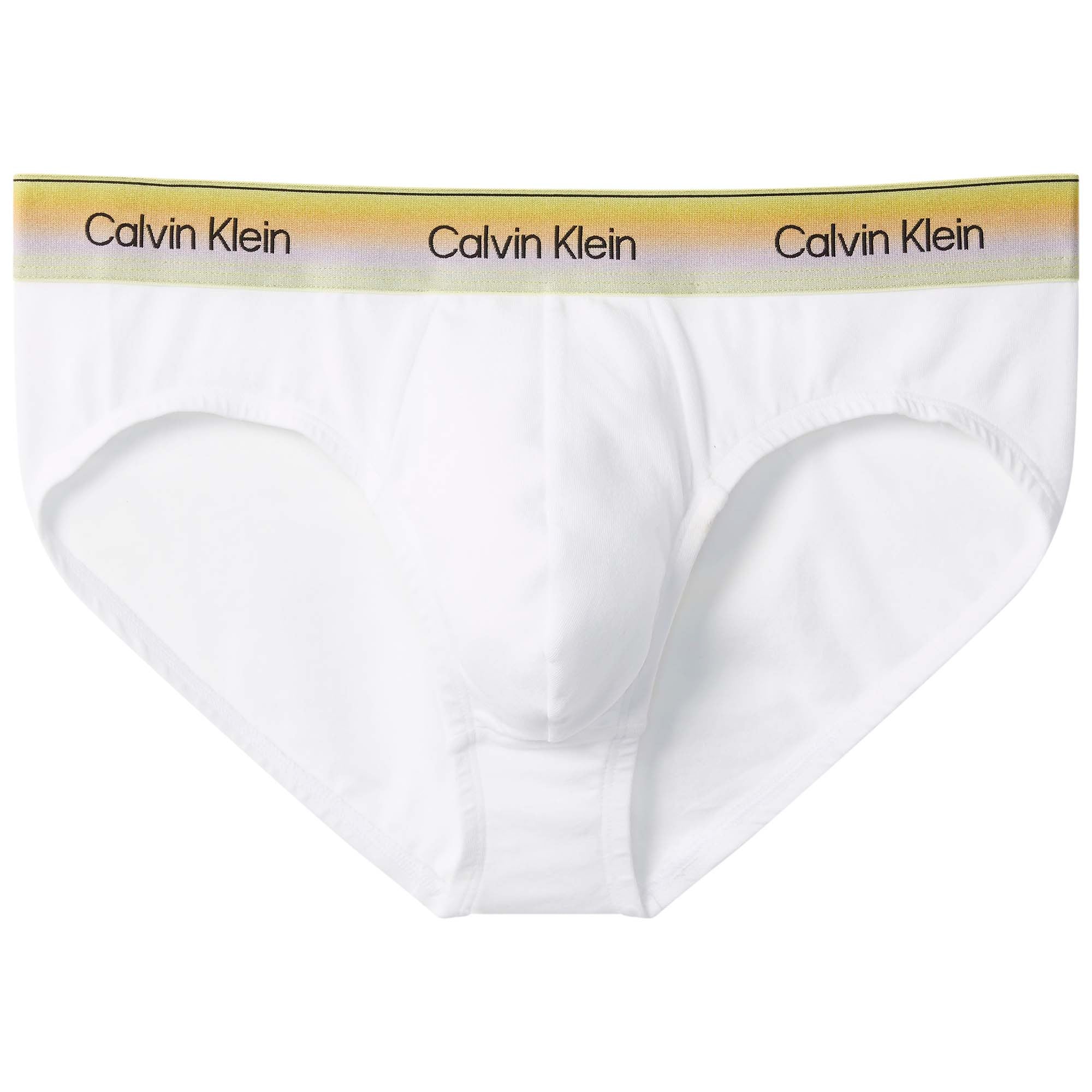 HIP_BRIEF_LV00NB4589_100_Image_1