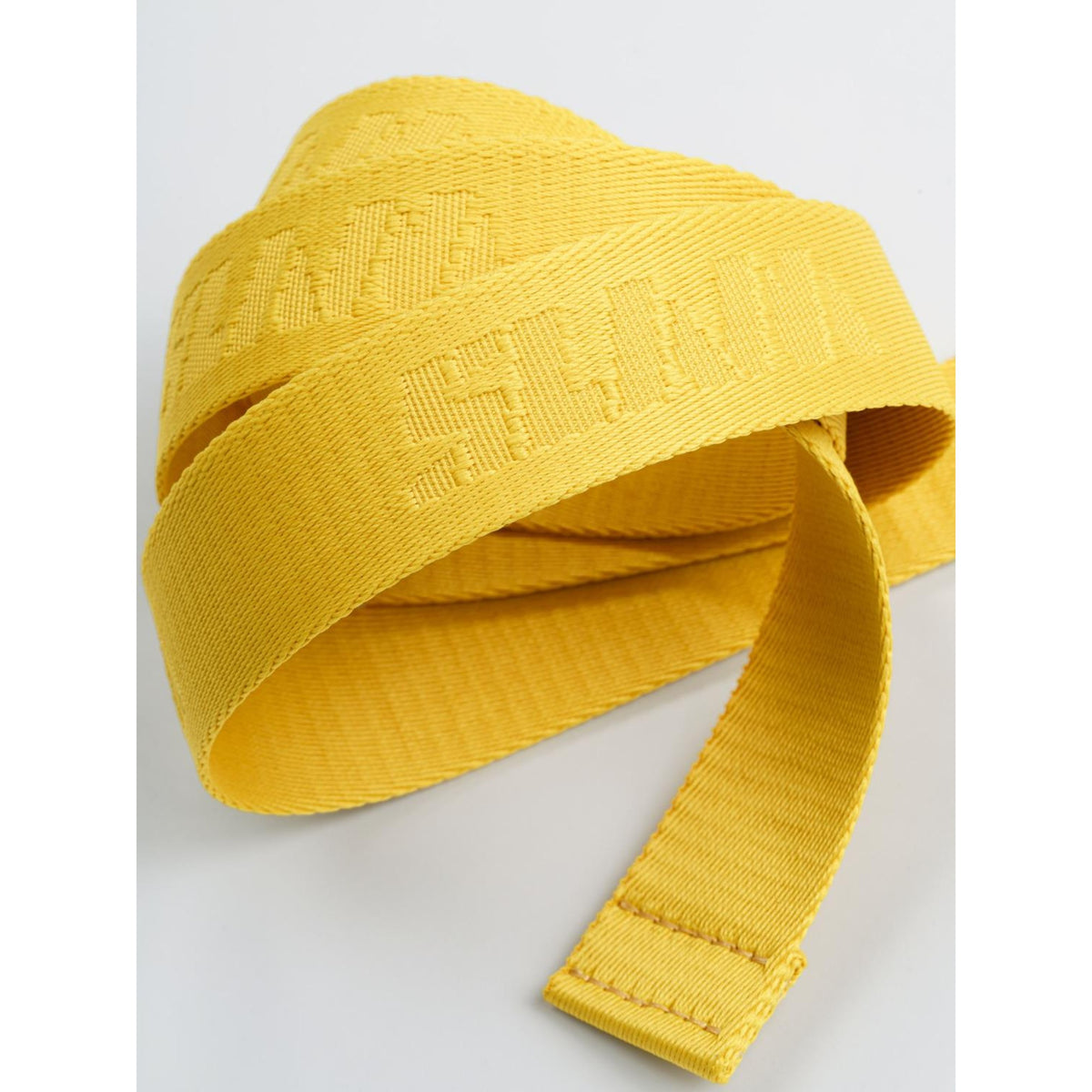 LOGO_BELT_20_A460001S01_W64_Image_2