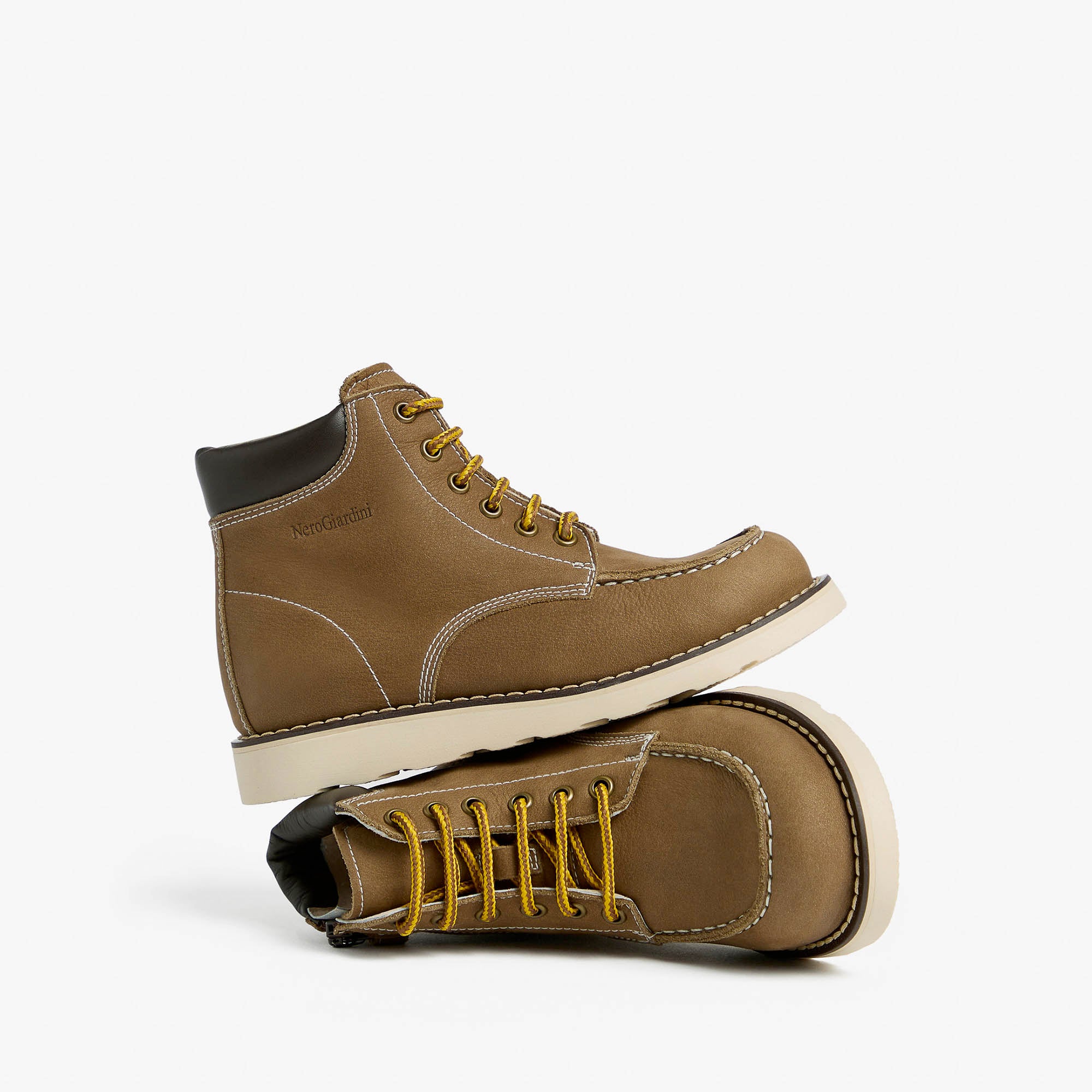 LONGBEACH_MEDIO_FANG_SOFTY_TDI_MORO_TR_ASTI_BROS_I534880M_311_Image_2