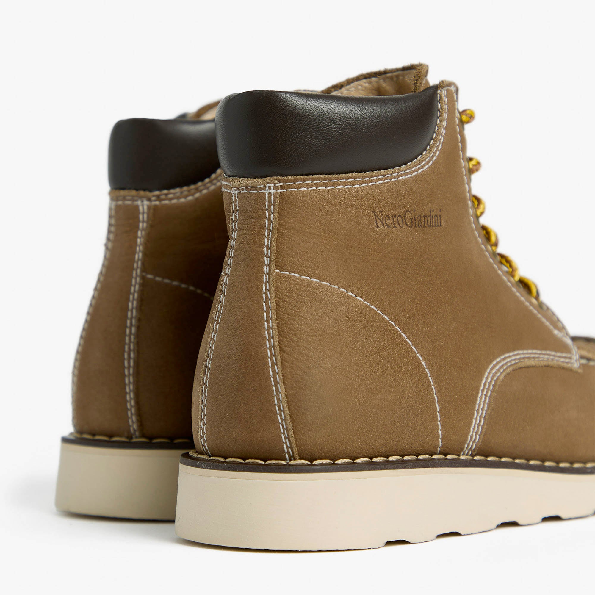 LONGBEACH_MEDIO_FANG_SOFTY_TDI_MORO_TR_ASTI_BROS_I534880M_311_Image_3