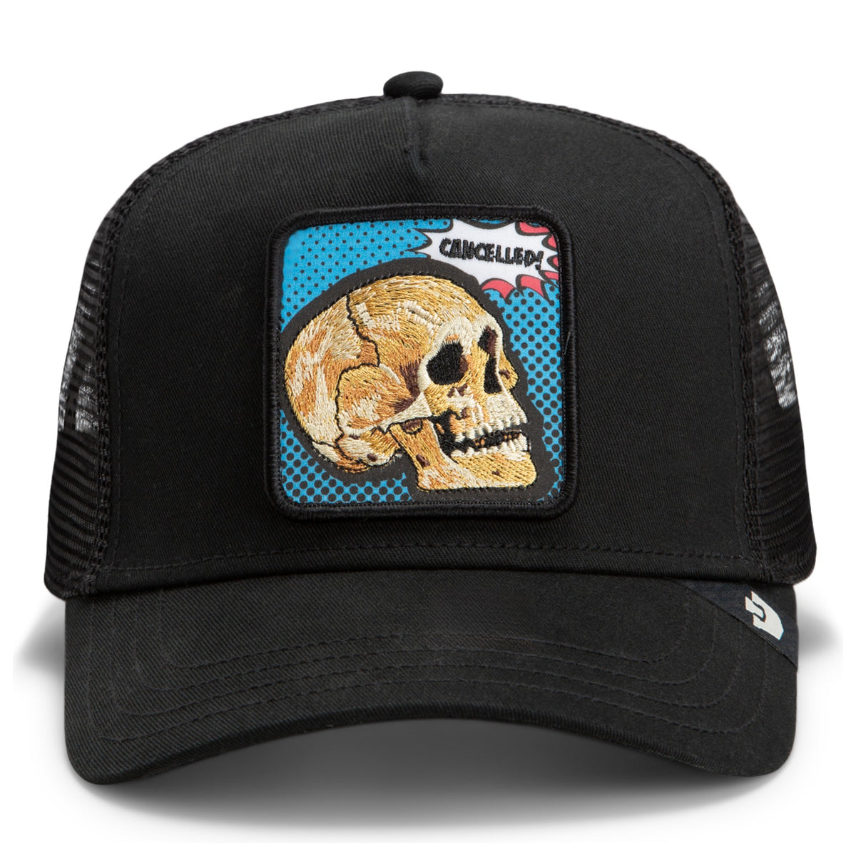 POPART_-_CANCELLED_SKULL_1013290_VOI_Image_1