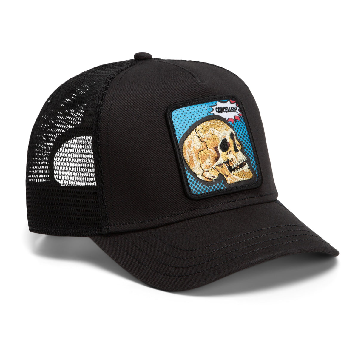 POPART_-_CANCELLED_SKULL_1013290_VOI_Image_3