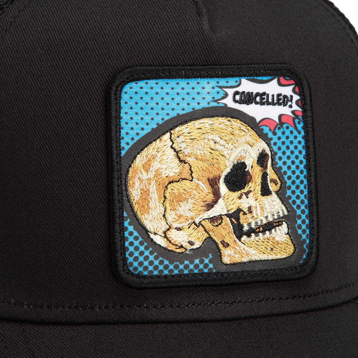 POPART_-_CANCELLED_SKULL_1013290_VOI_Image_8