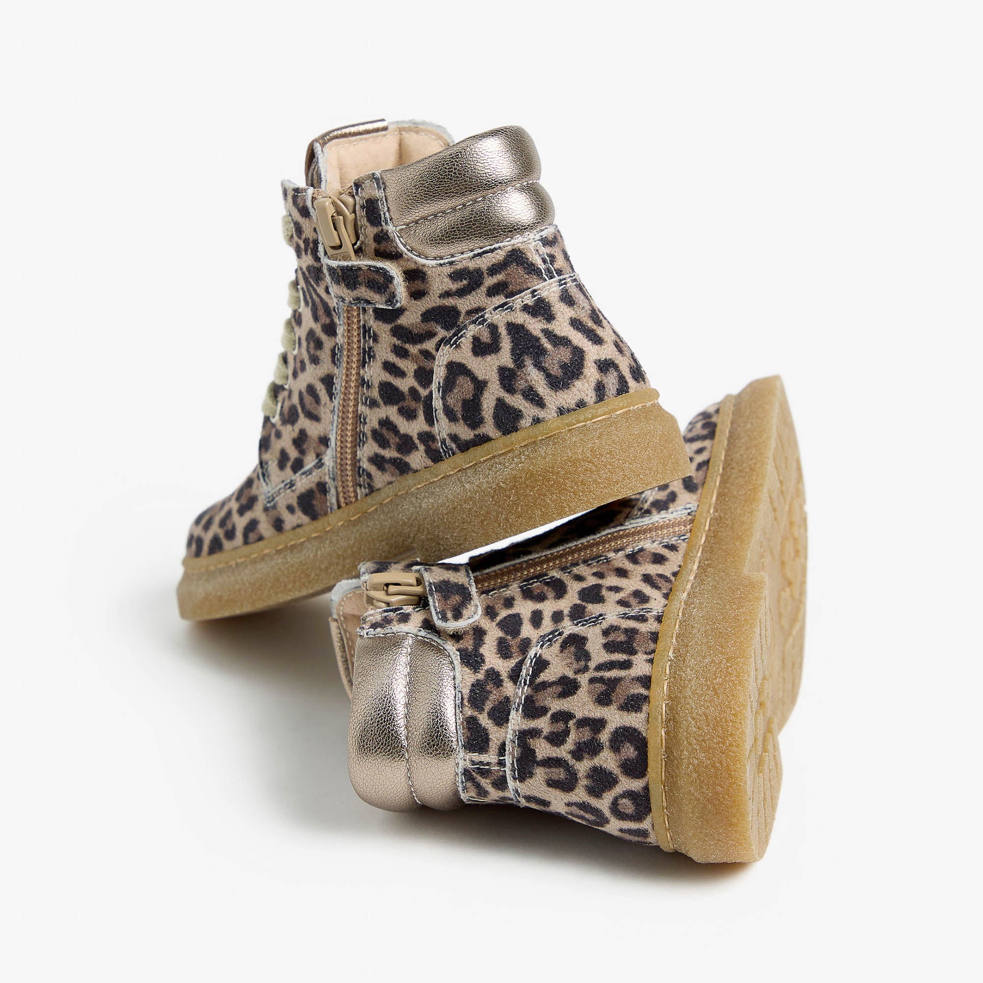 TAIDA_LEO_IRI_ETOILE_LEO_TR_OTTAWA_POLVERE_CO_I528011F_412_Image_3