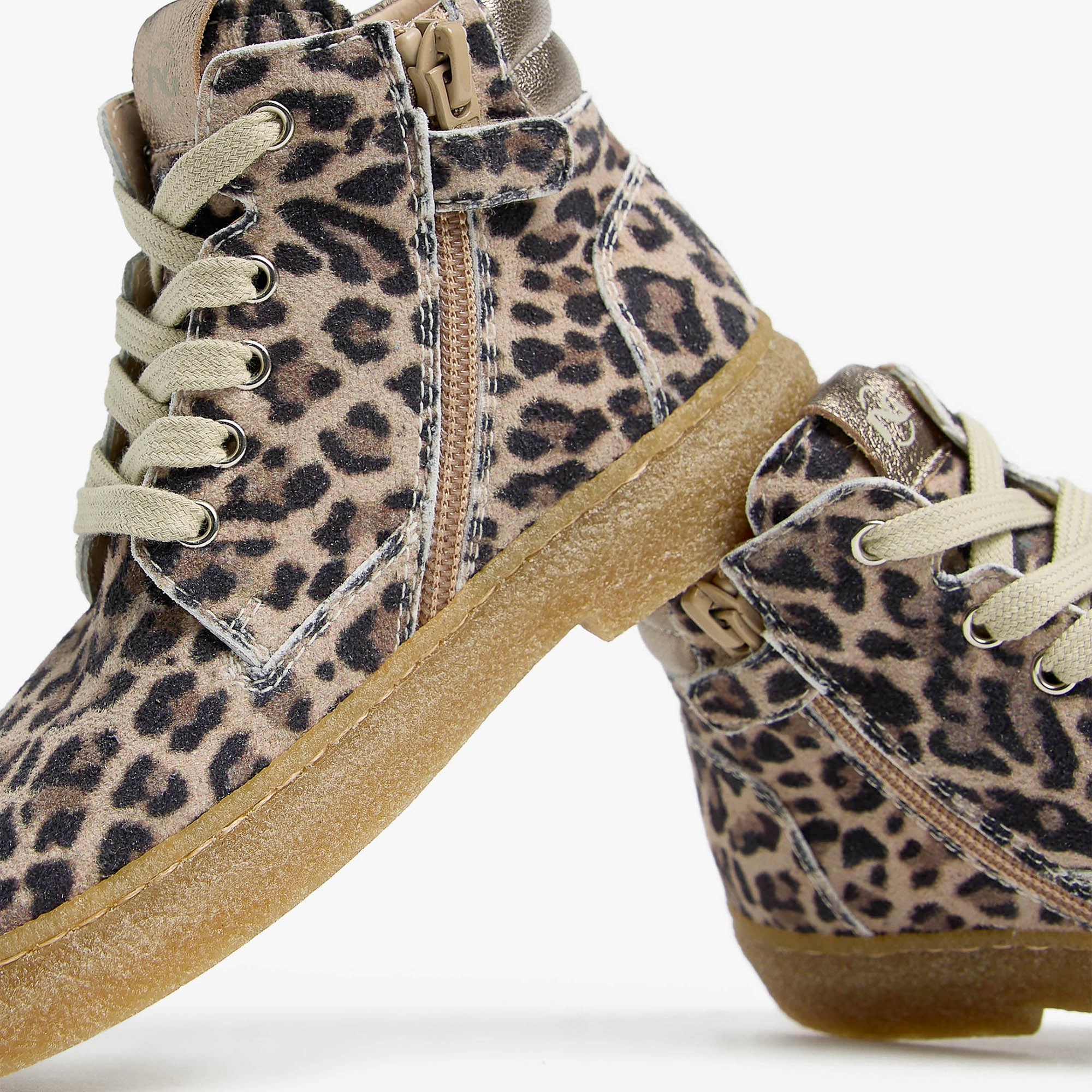 TAIDA_LEO_IRI_ETOILE_LEO_TR_OTTAWA_POLVERE_CO_I528011F_412_Image_4