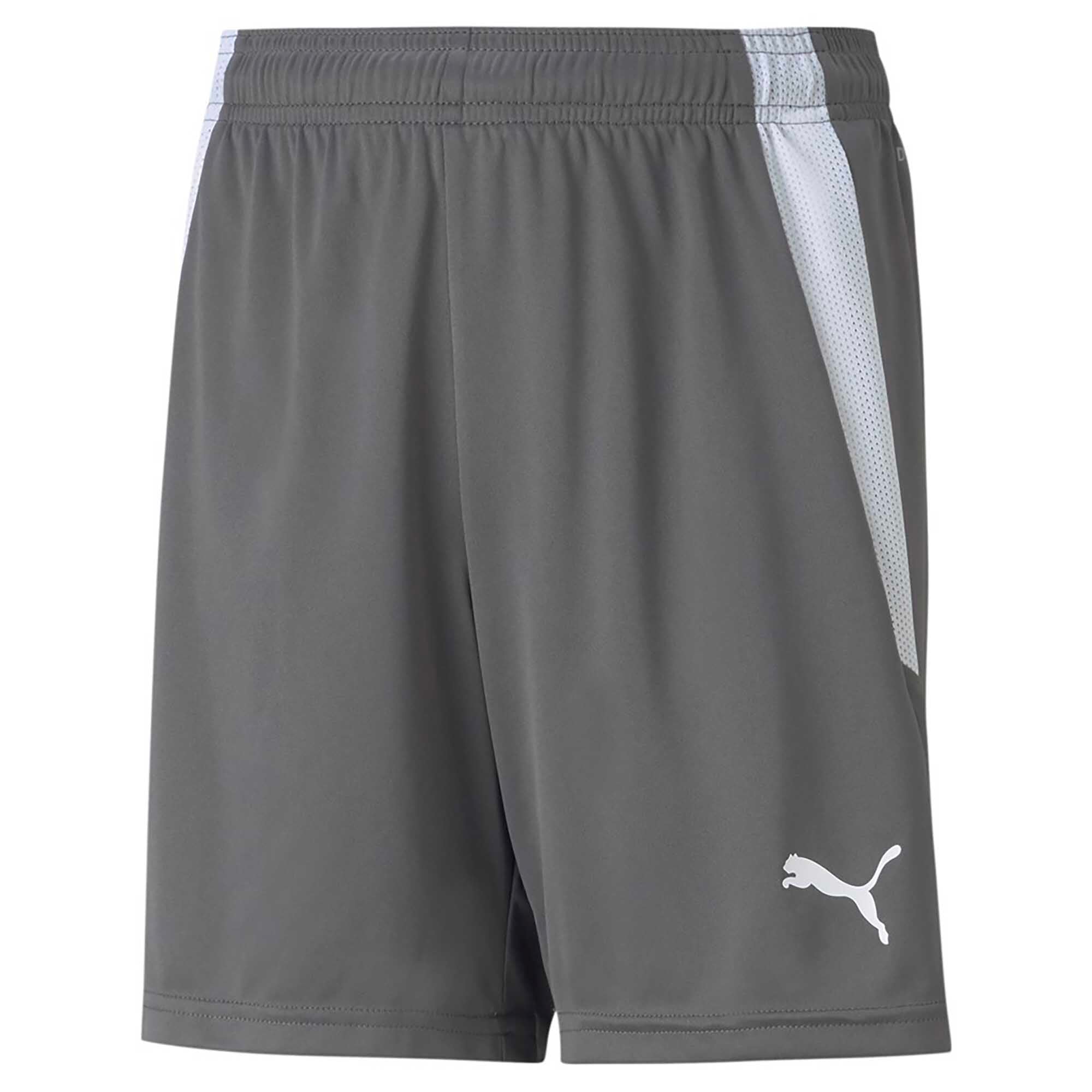 TEAMLIGA_SHORTS_JR_704931_13290_Image_1
